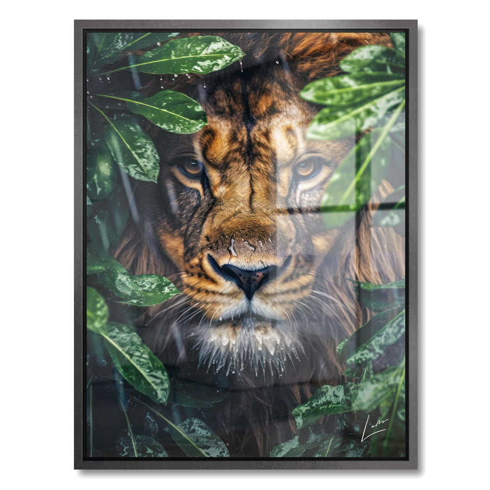 Peeping Lion