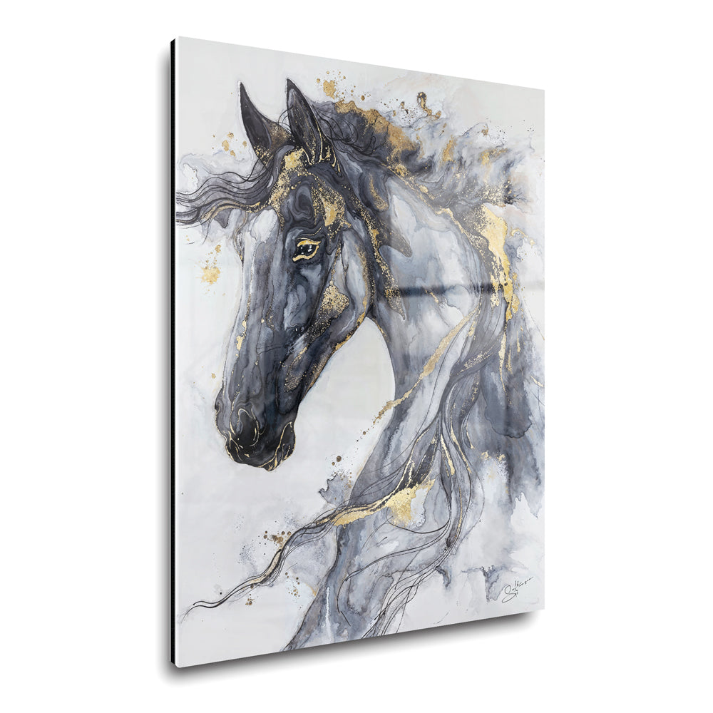 Liquid Stallion Graphite
