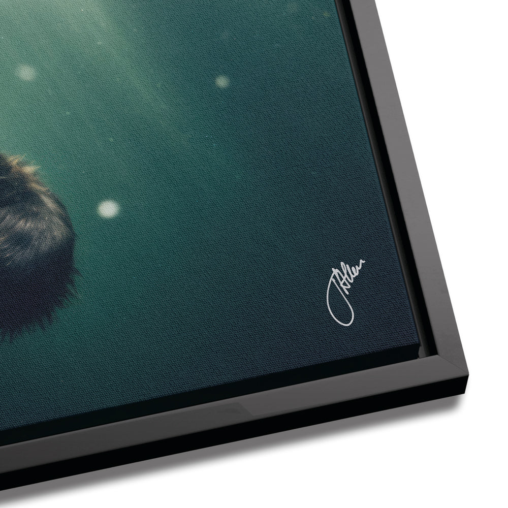 Underwater Bear
