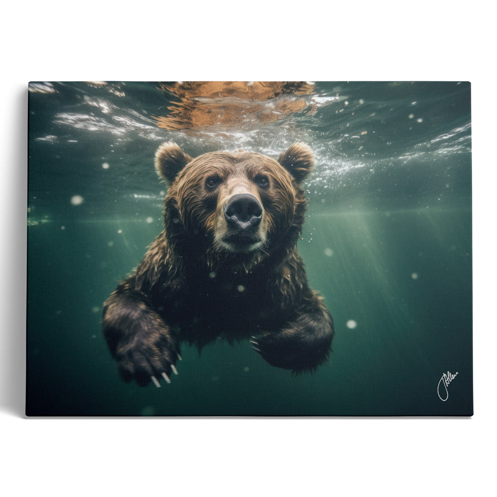 Underwater Bear