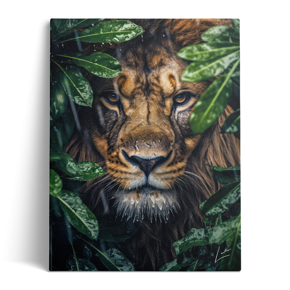 Peeping Lion