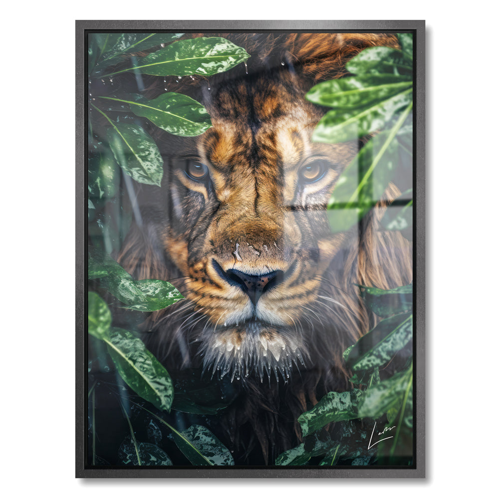 Peeping Lion