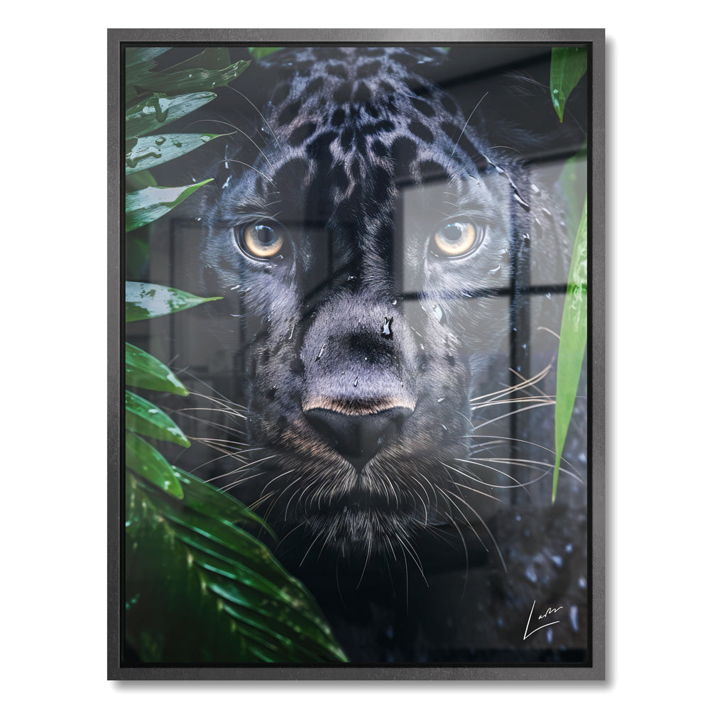 Peeping Panther