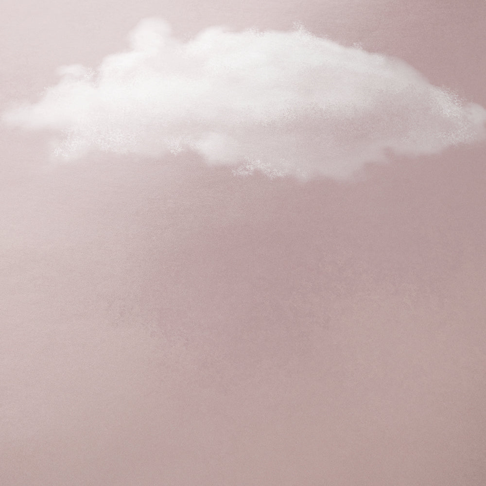 Cielo Rose