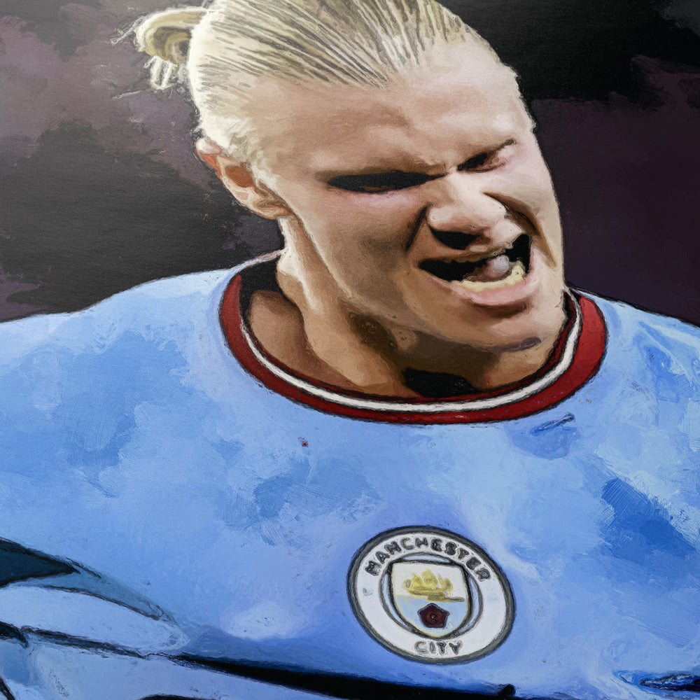 Erling Haaland '2022' II