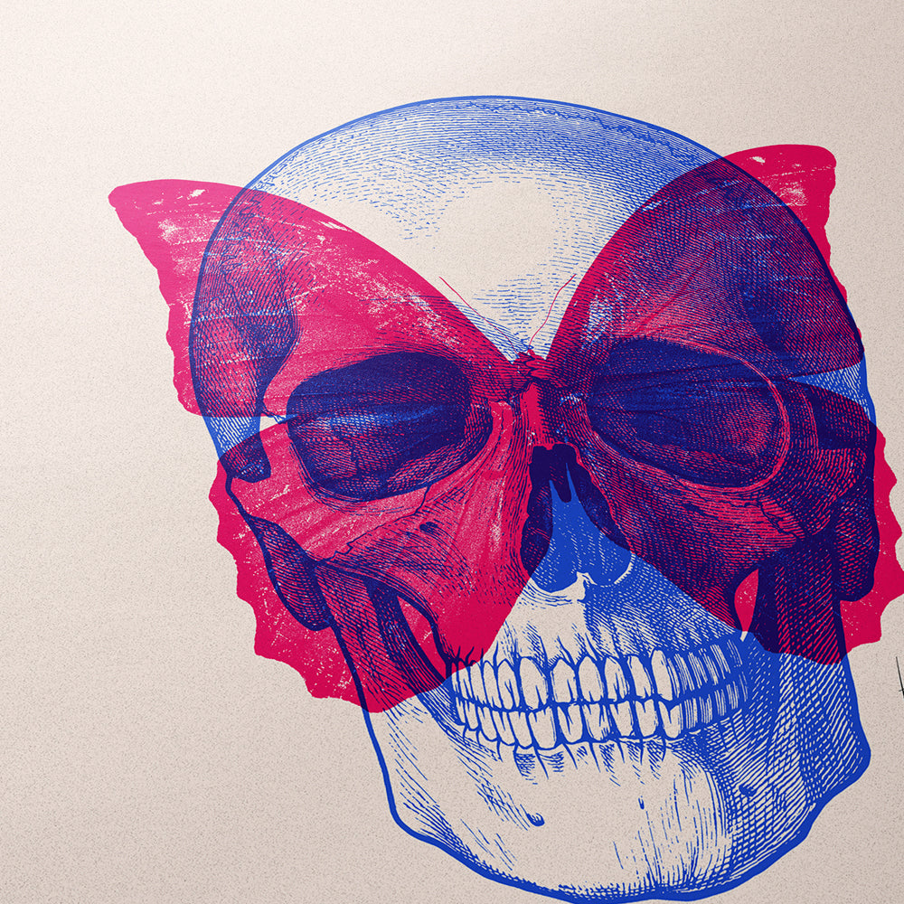 Skull Butterfly II