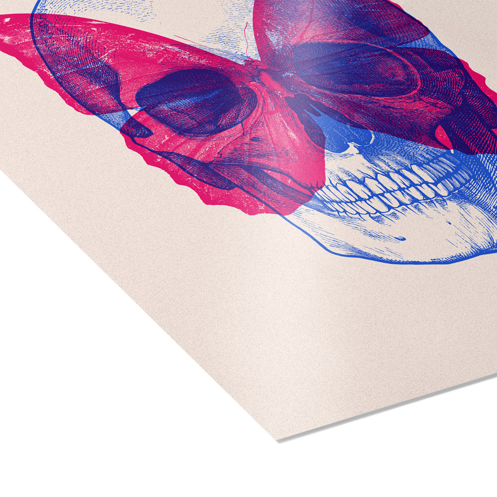 Skull Butterfly II