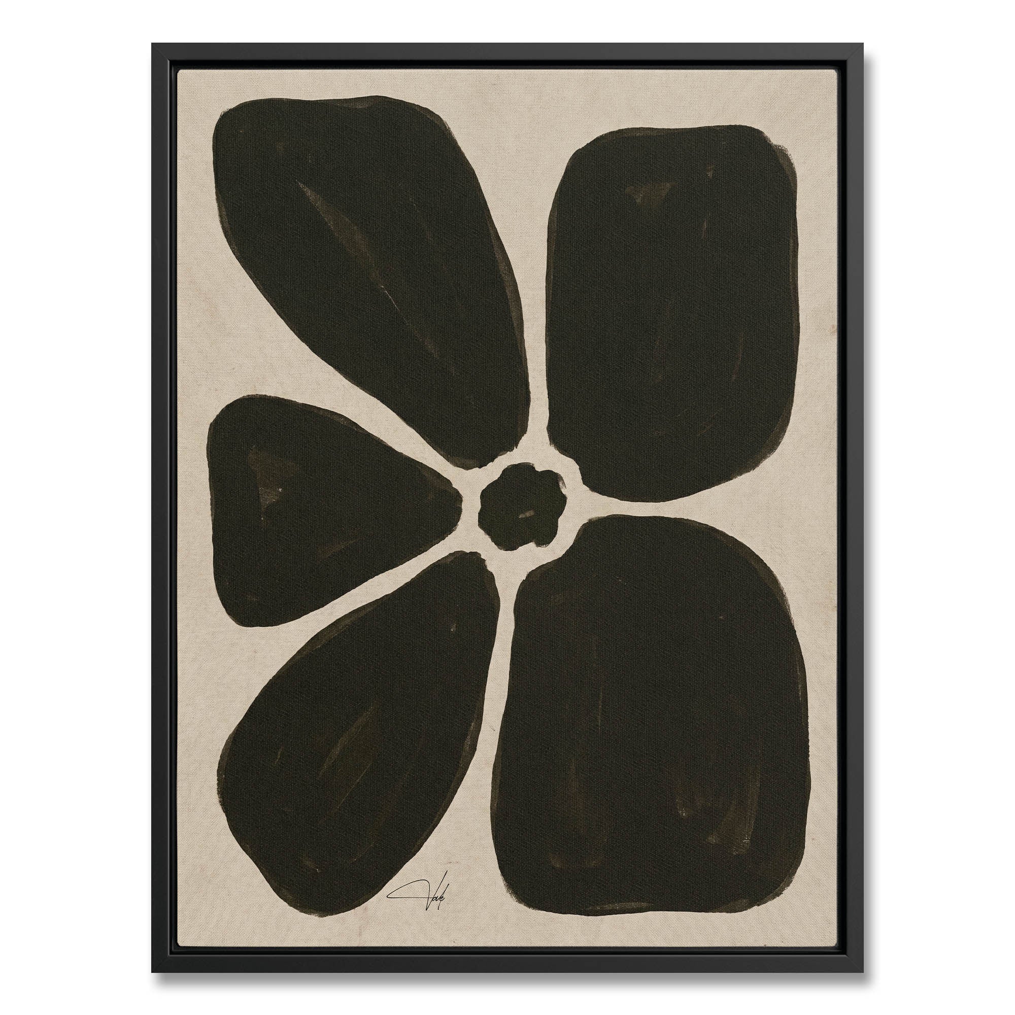 Olive Anemone