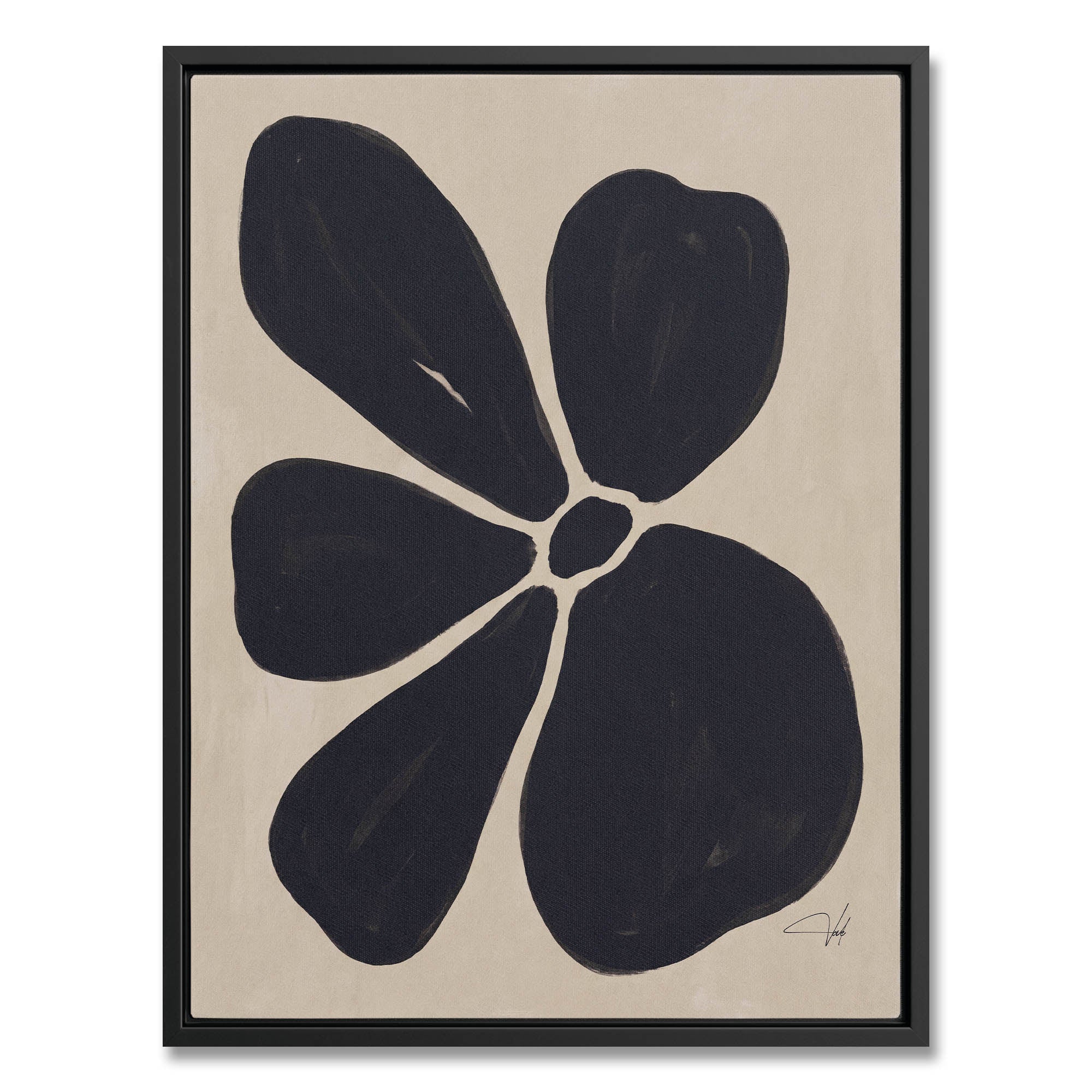 Charcoal Anemone