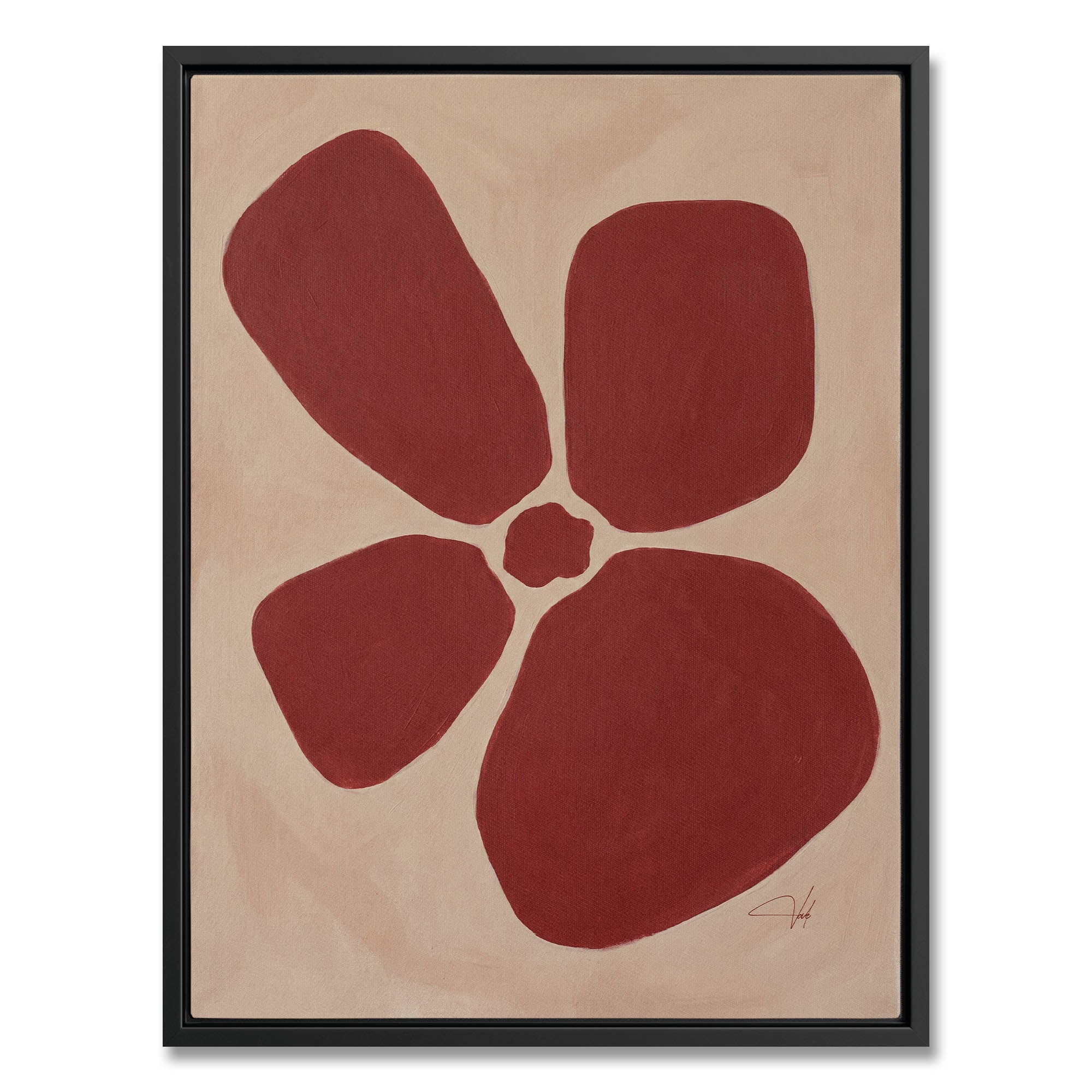 Sienna Anemone