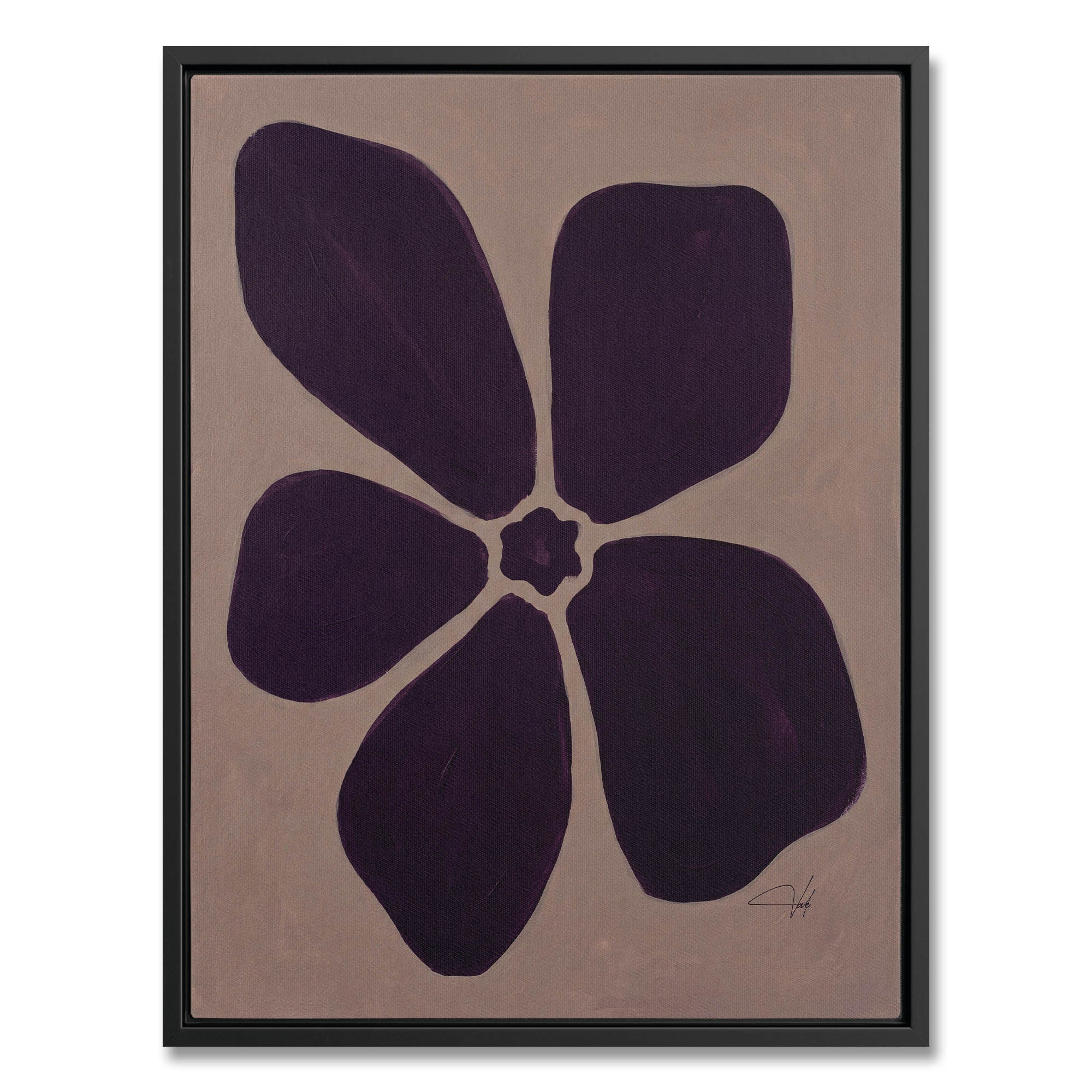 Plum Anemone