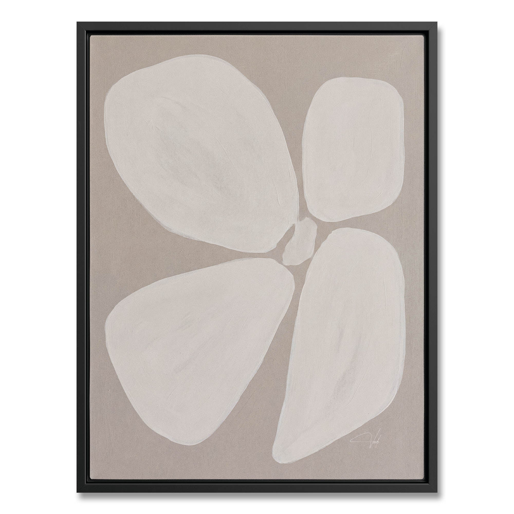 Linen Anemone