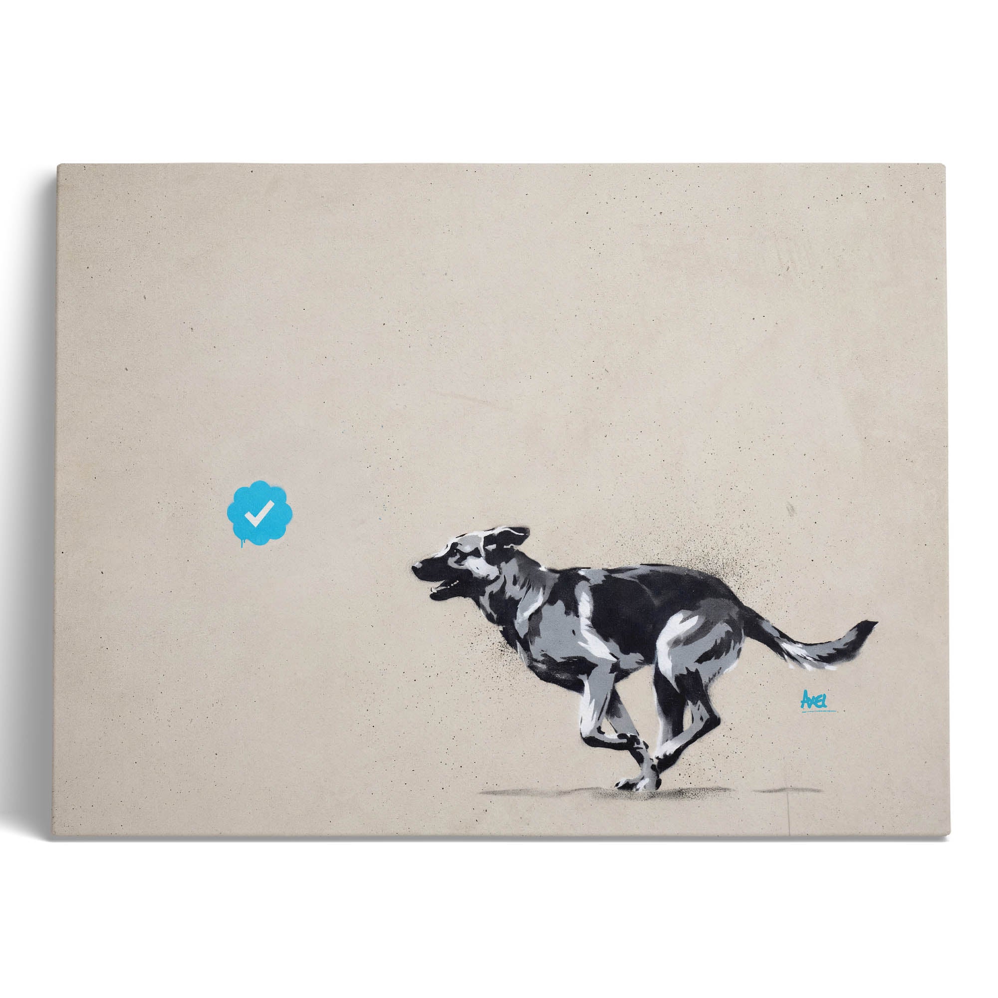 Blue Tick