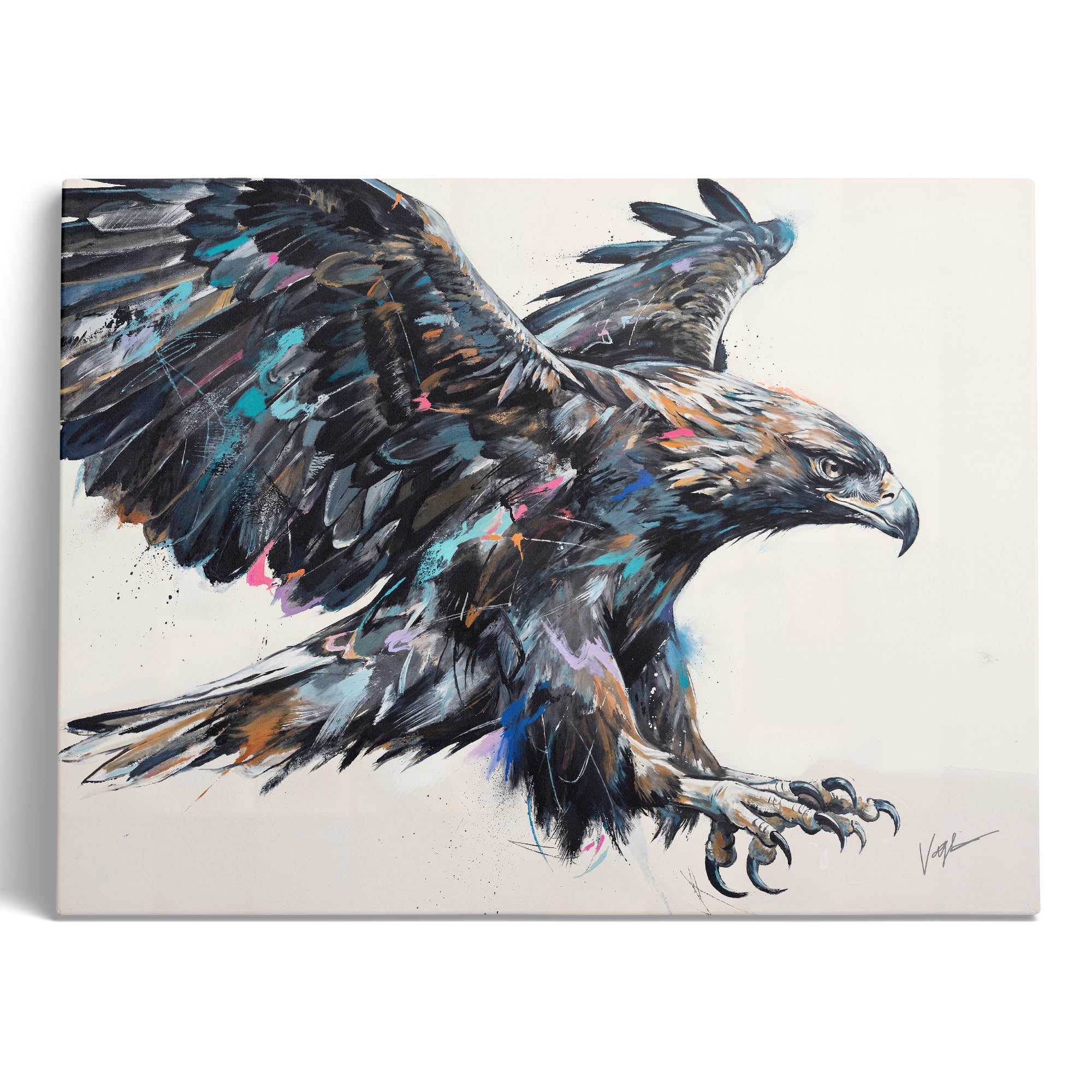Born To Soar