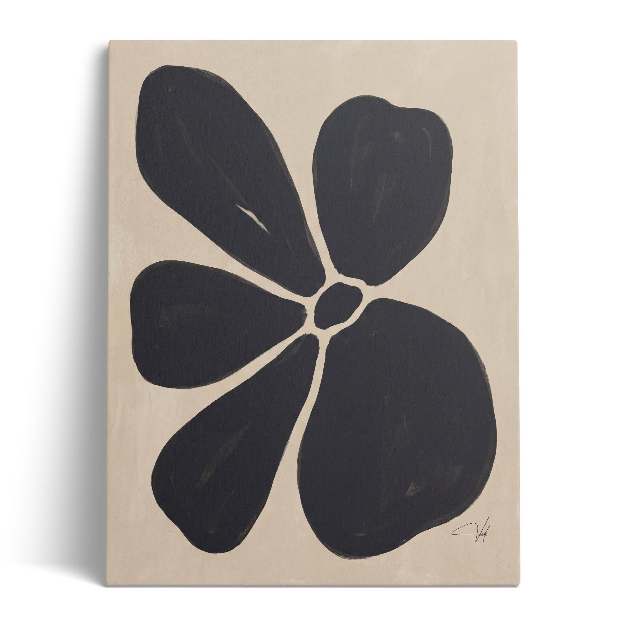 Charcoal Anemone