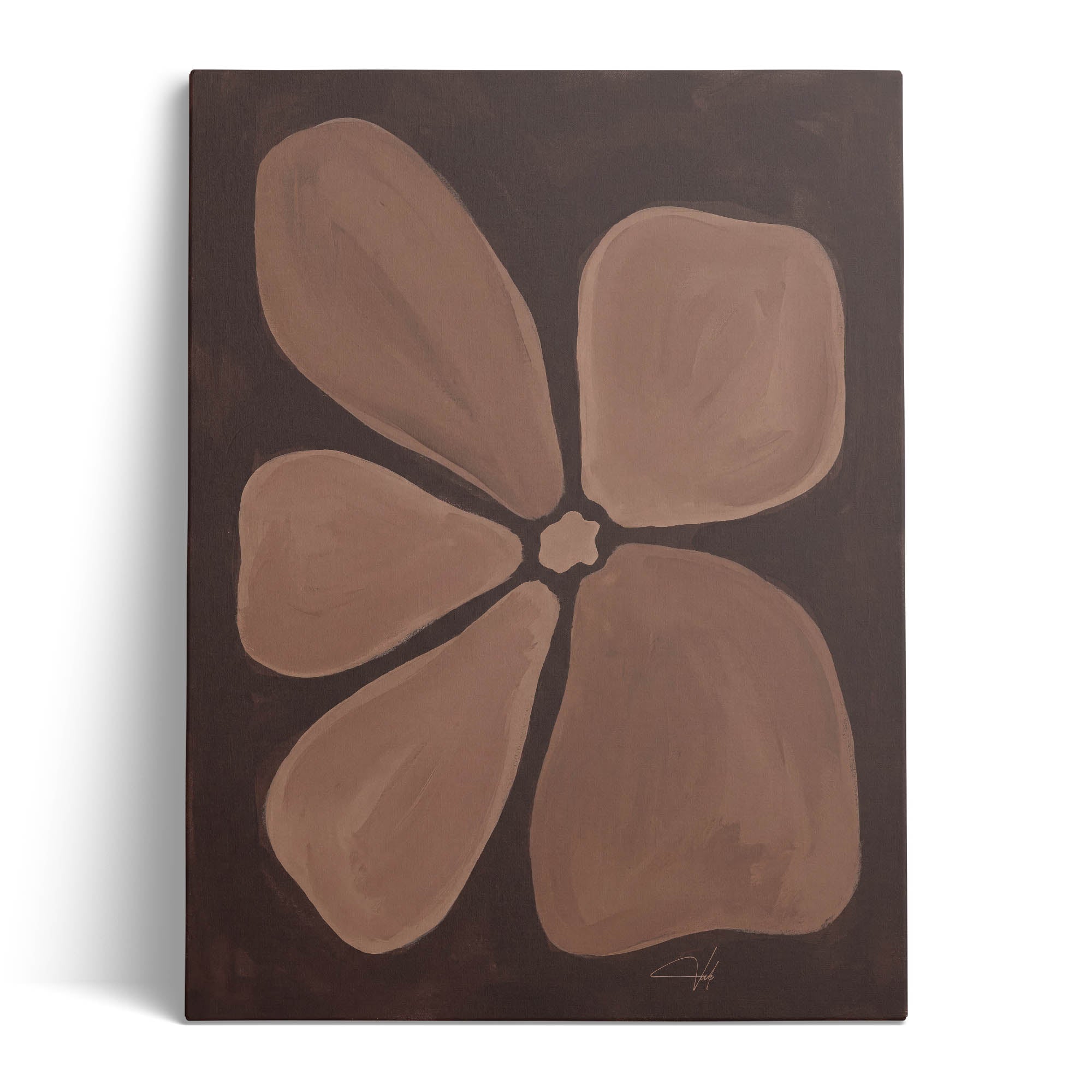 Cocoa Anemone