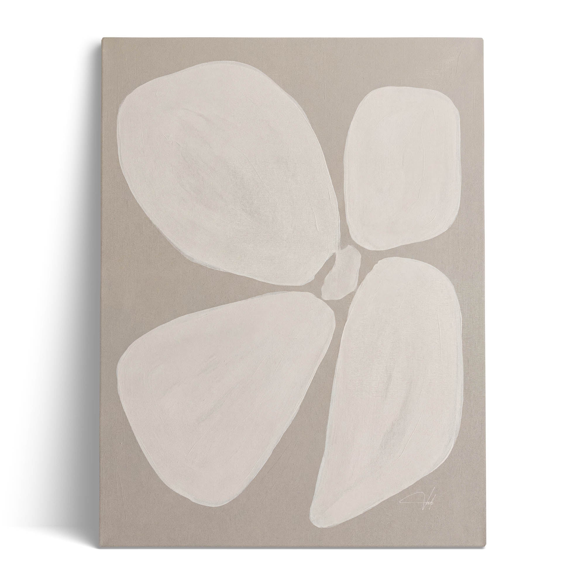 Linen Anemone