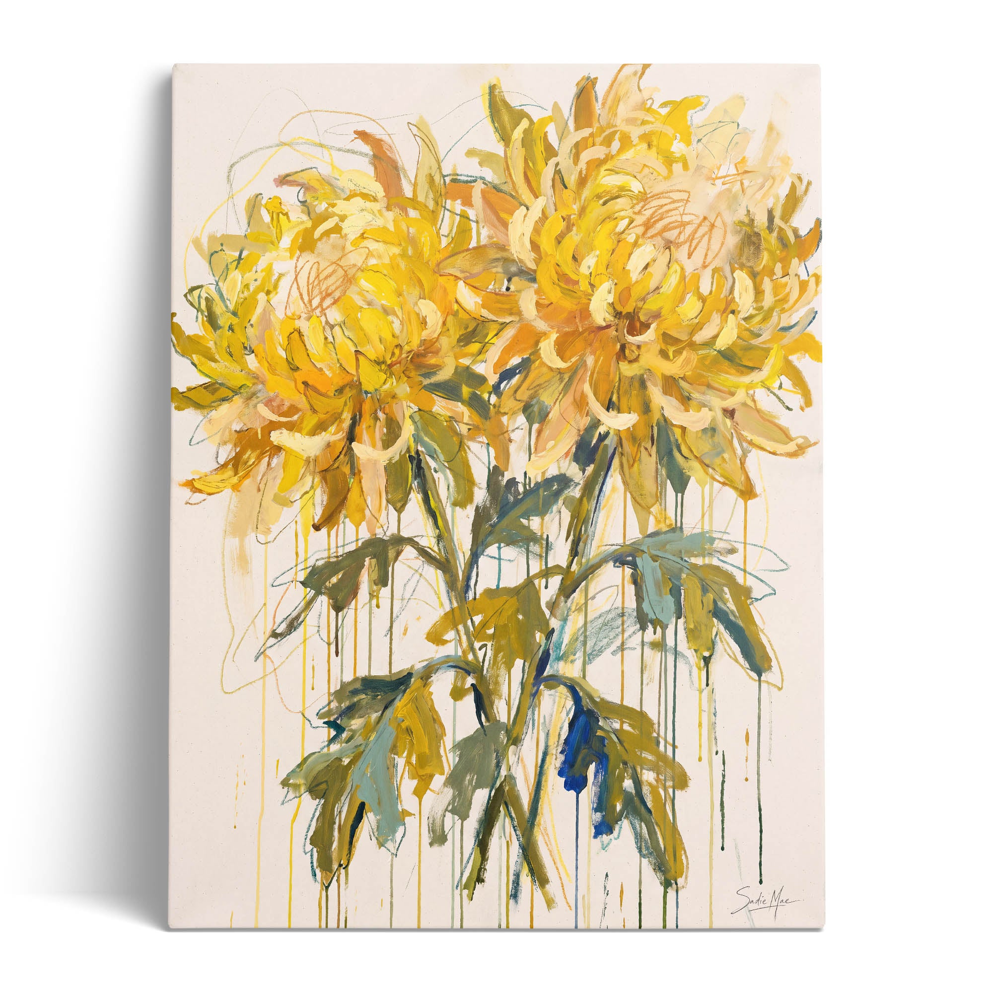 Sunlit Chrysanthemums