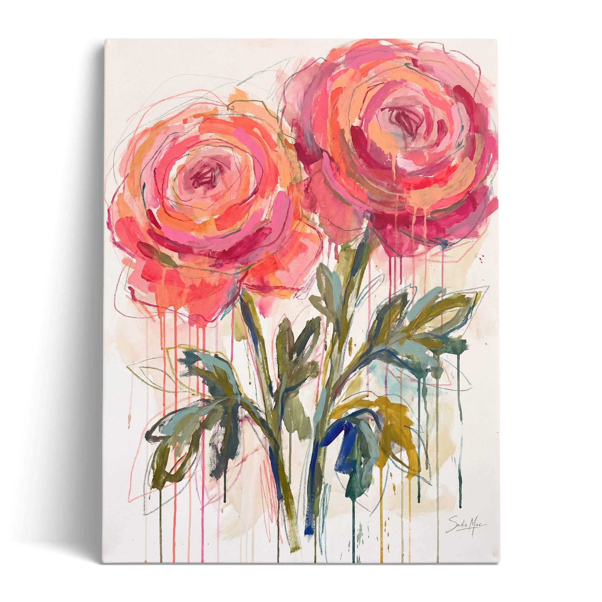 Coral Roses