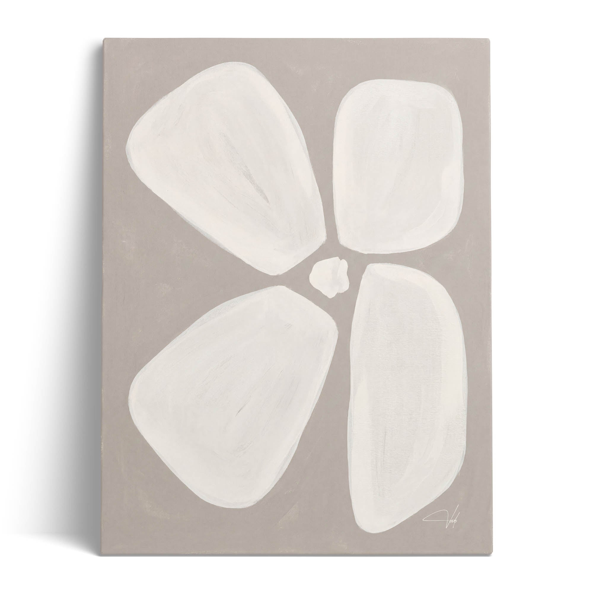 Dove Anemone