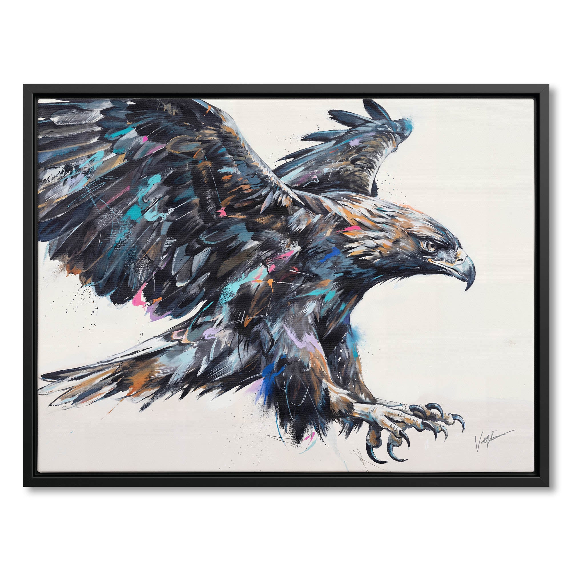 Born To Soar