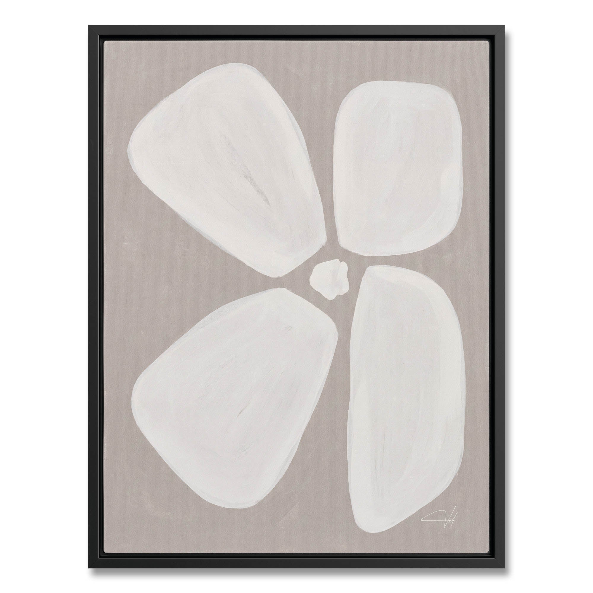 Dove Anemone
