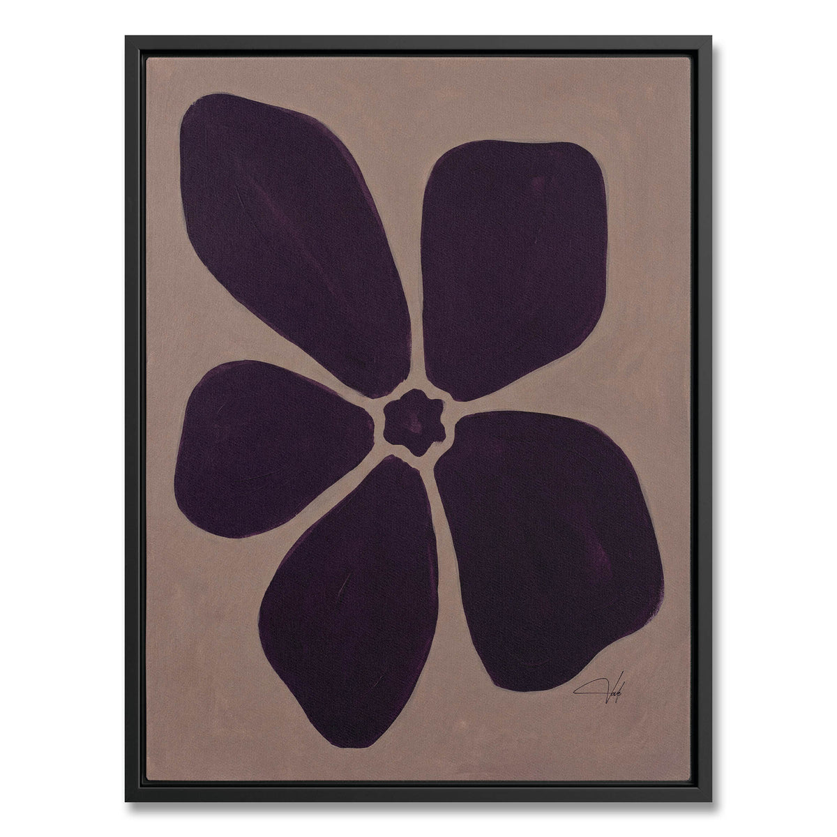 Plum Anemone