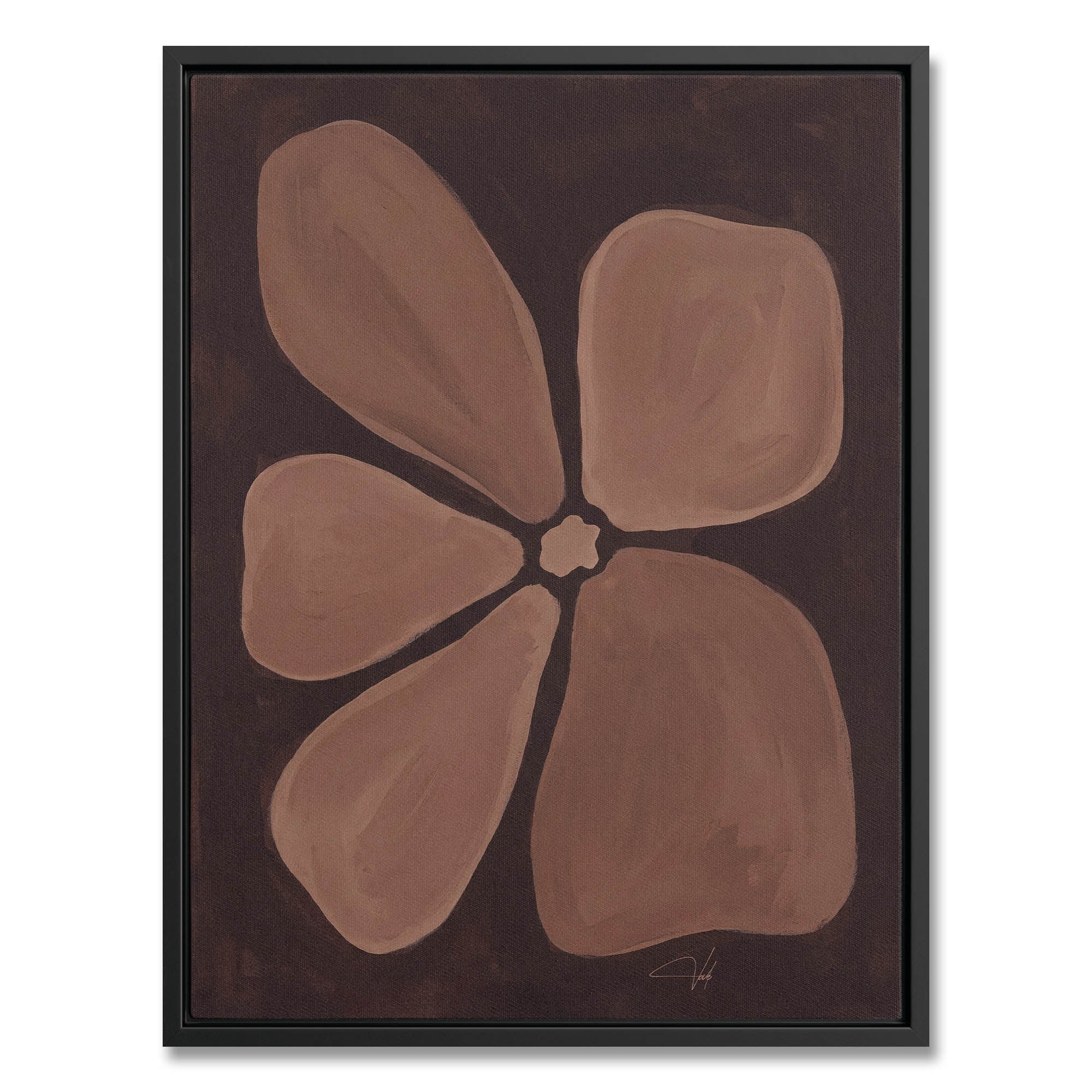 Cocoa Anemone