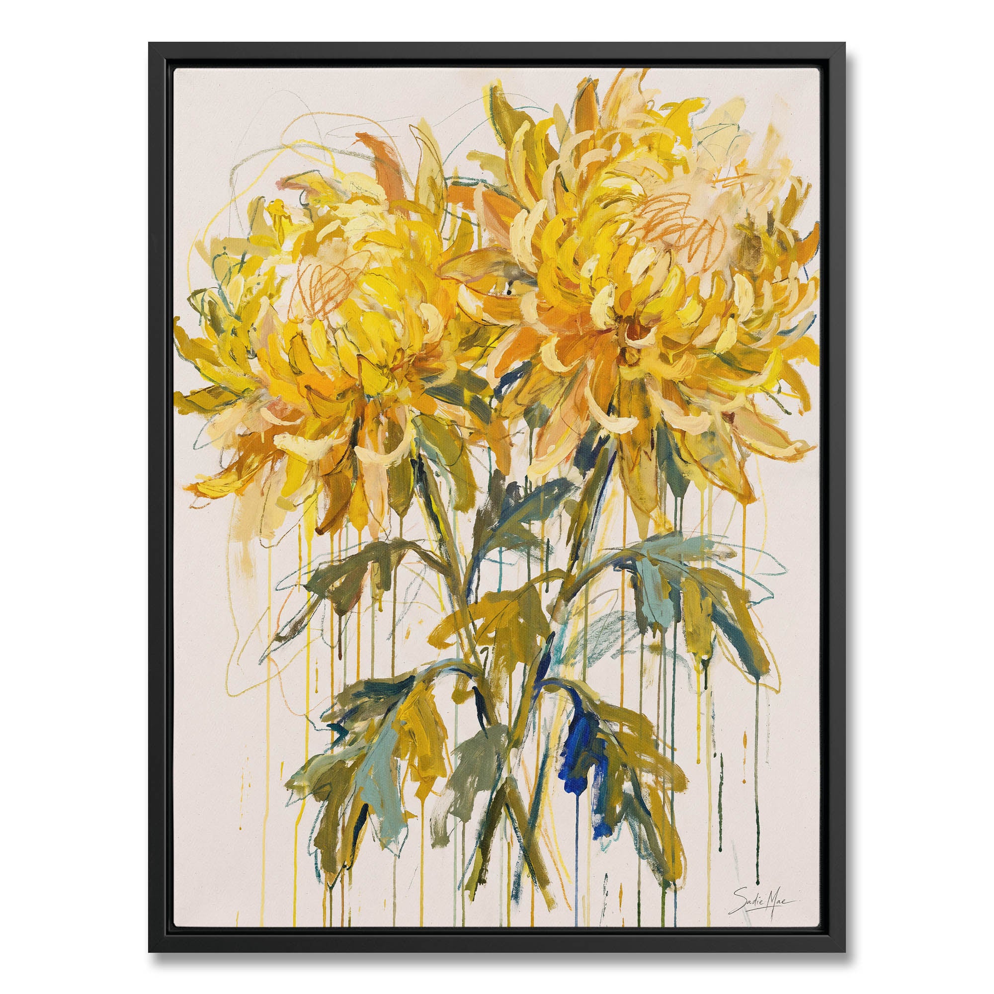 Sunlit Chrysanthemums