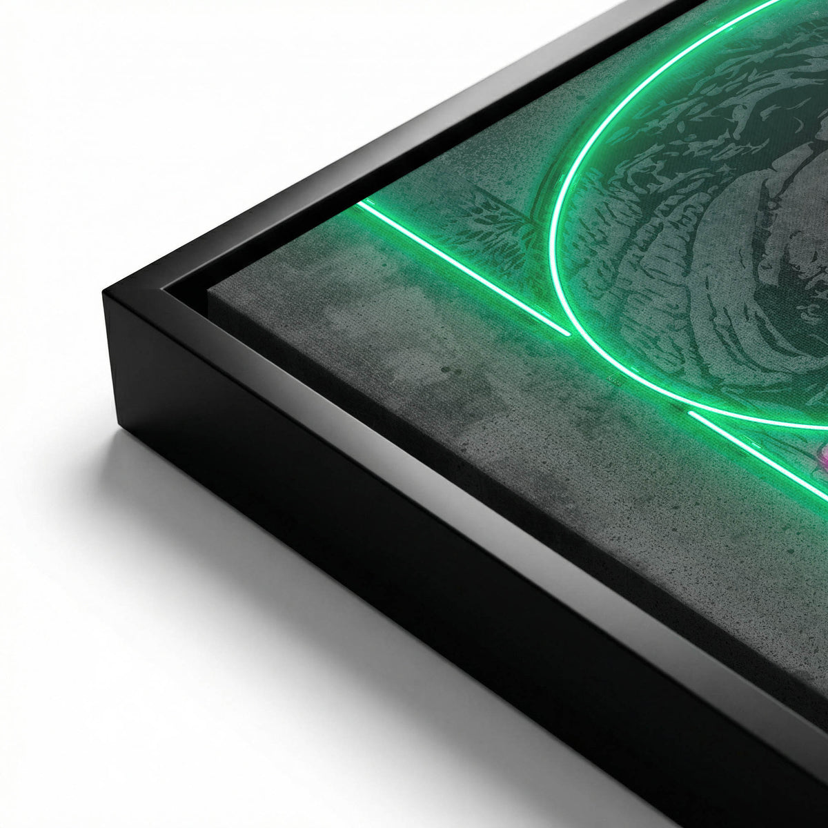Benjamin Dollar ‘Neon’