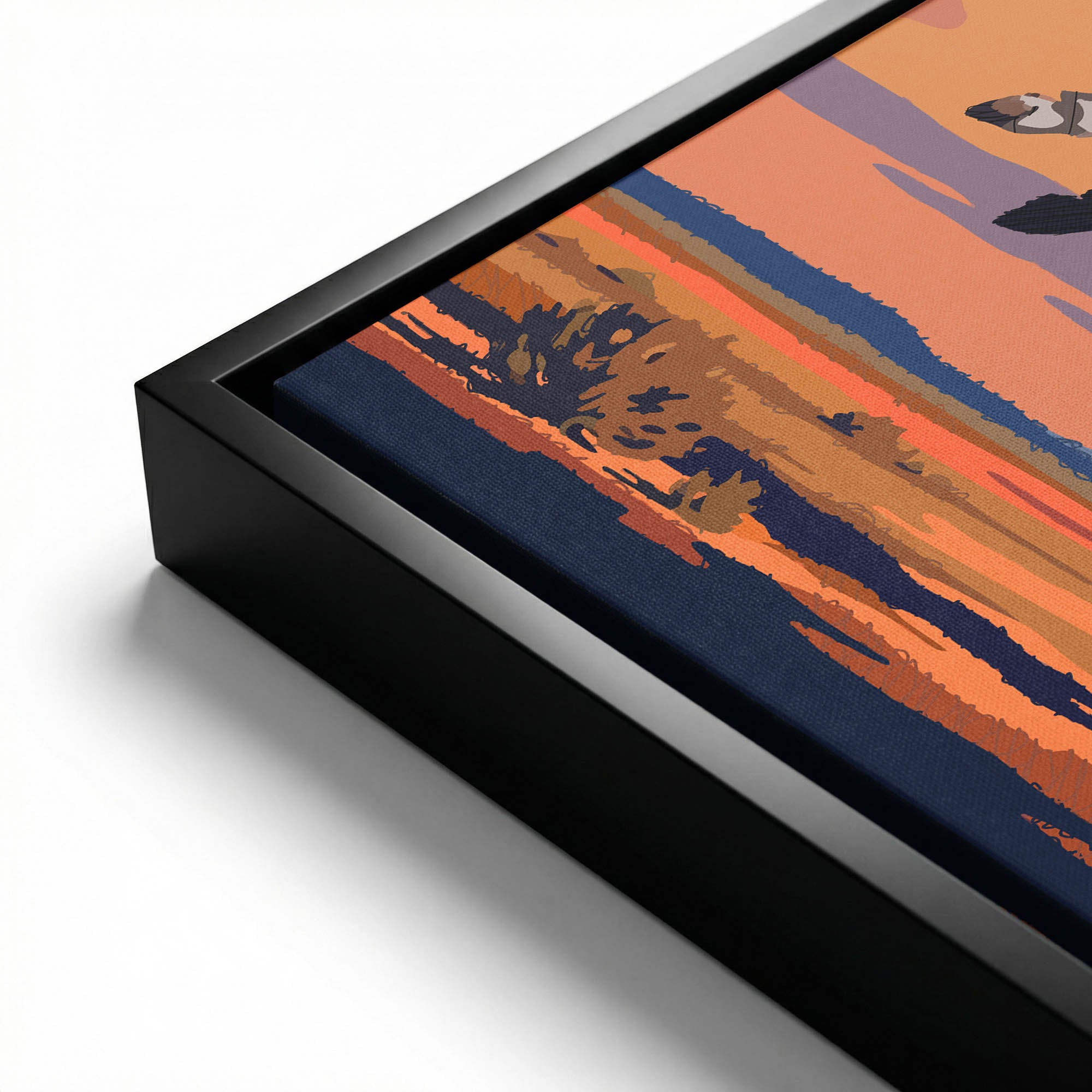 Sunset Bronco