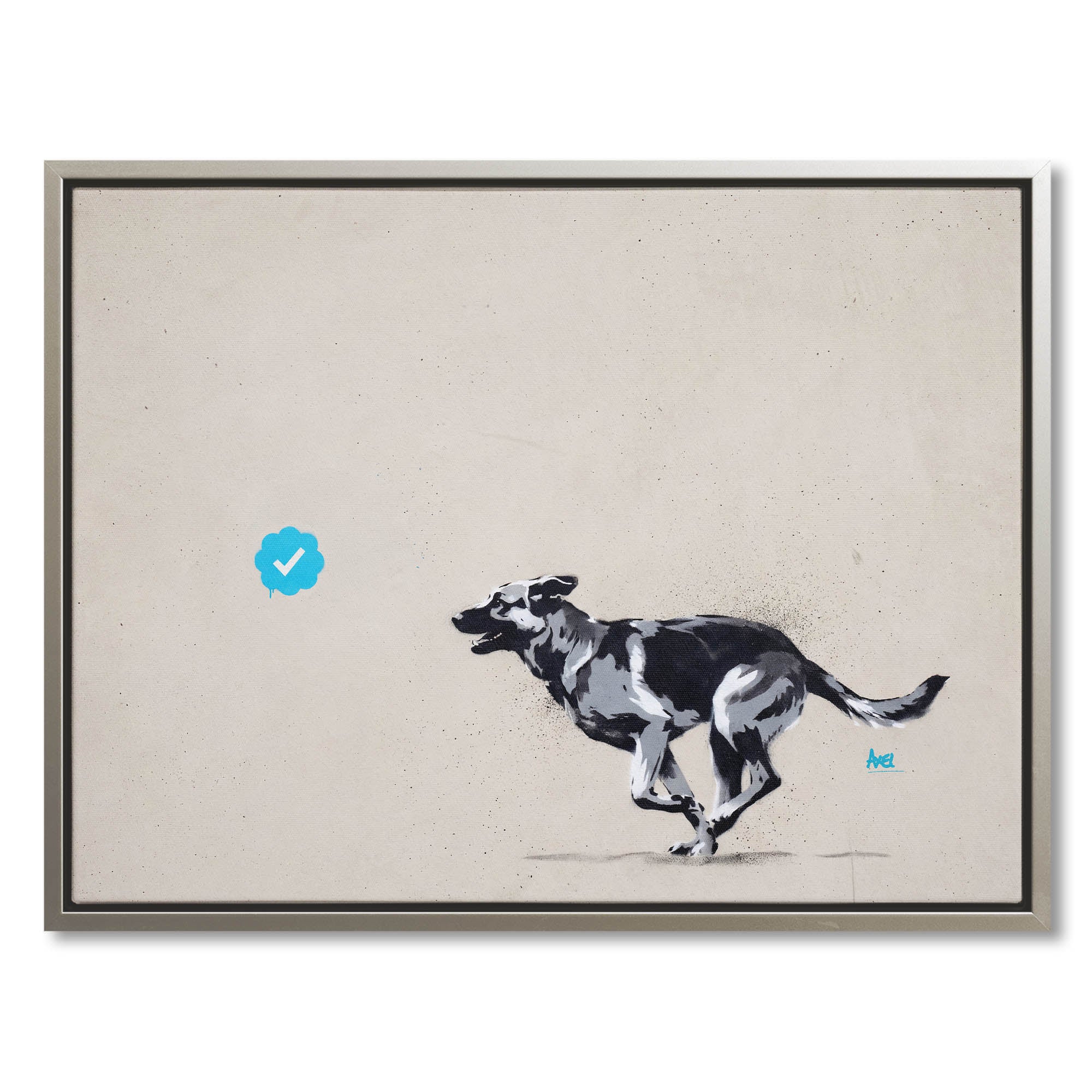 Blue Tick