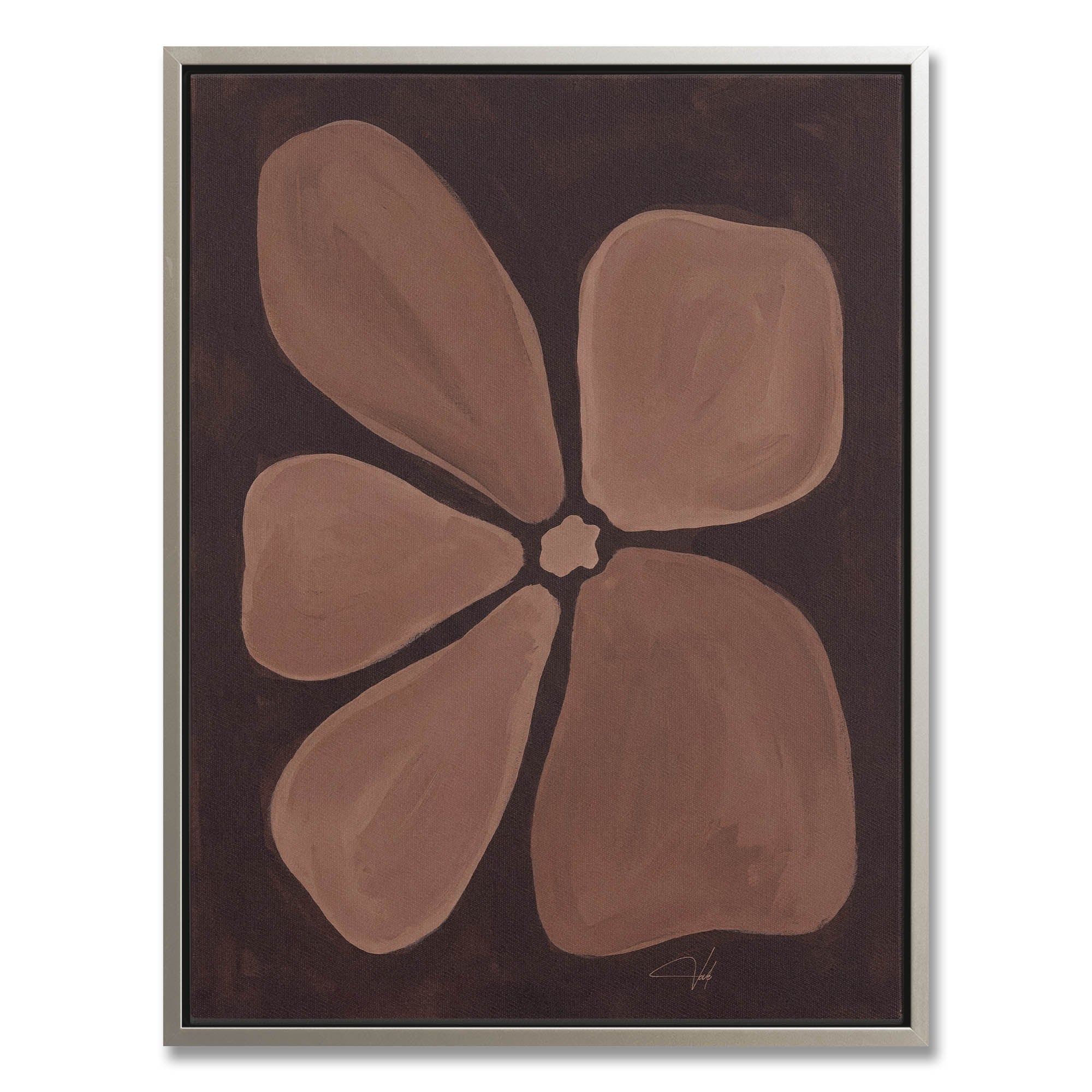 Cocoa Anemone