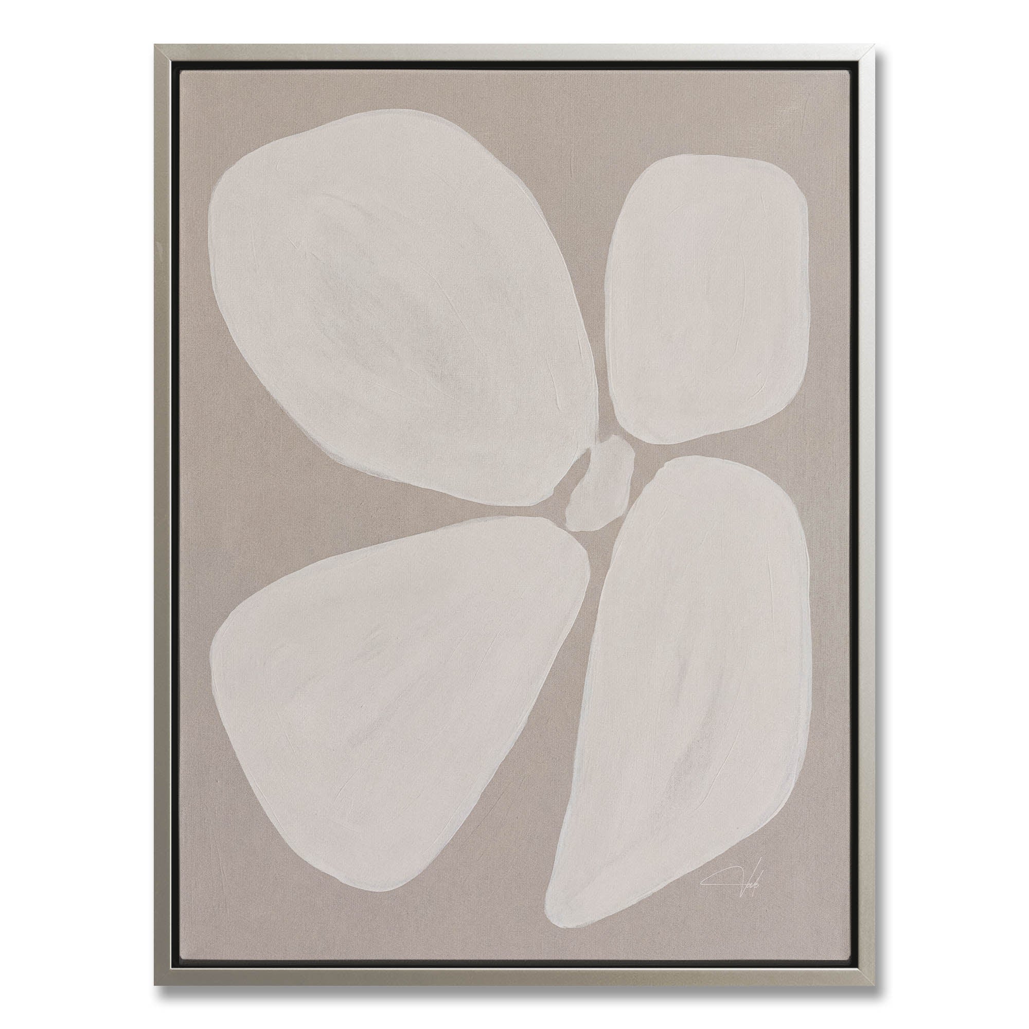 Linen Anemone