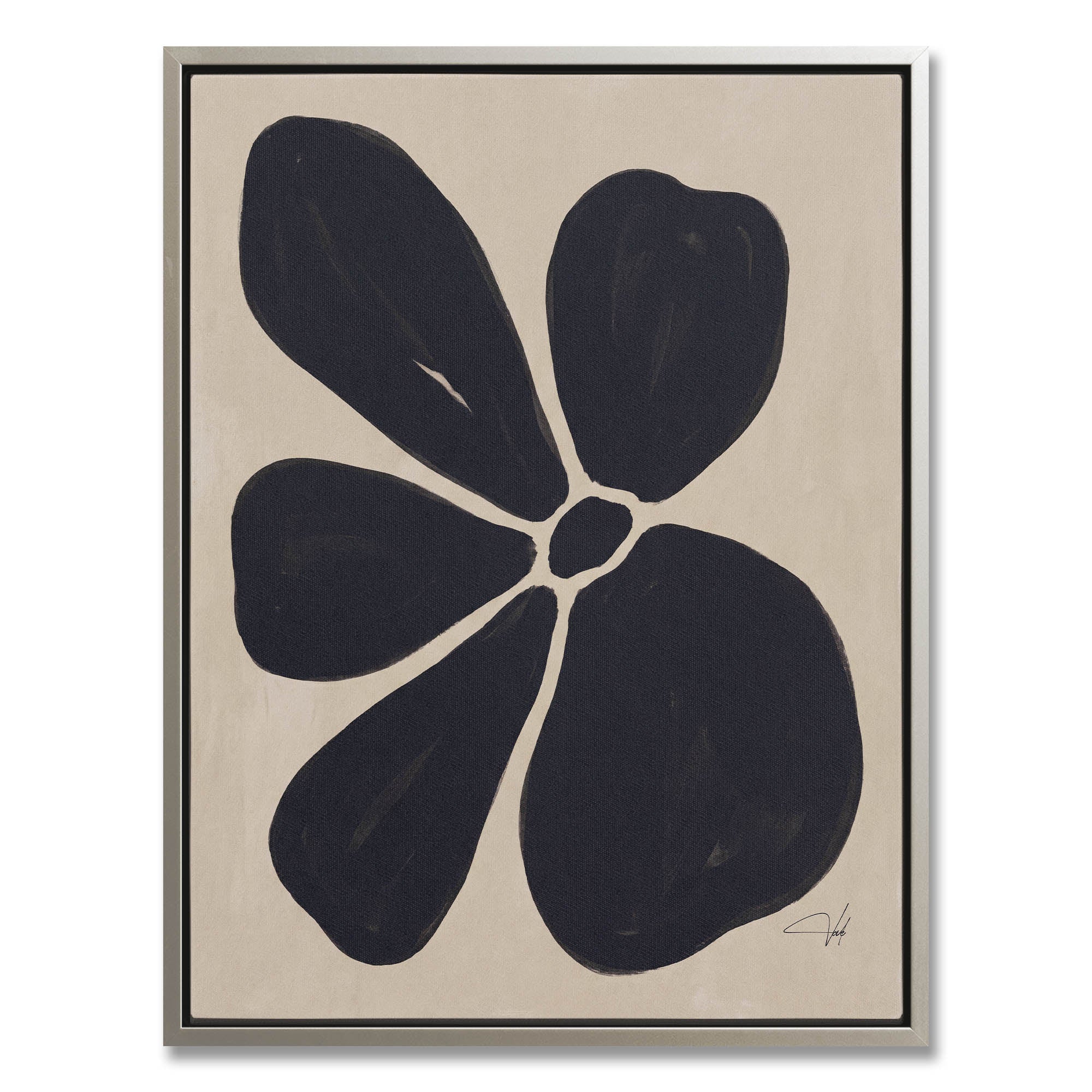 Charcoal Anemone