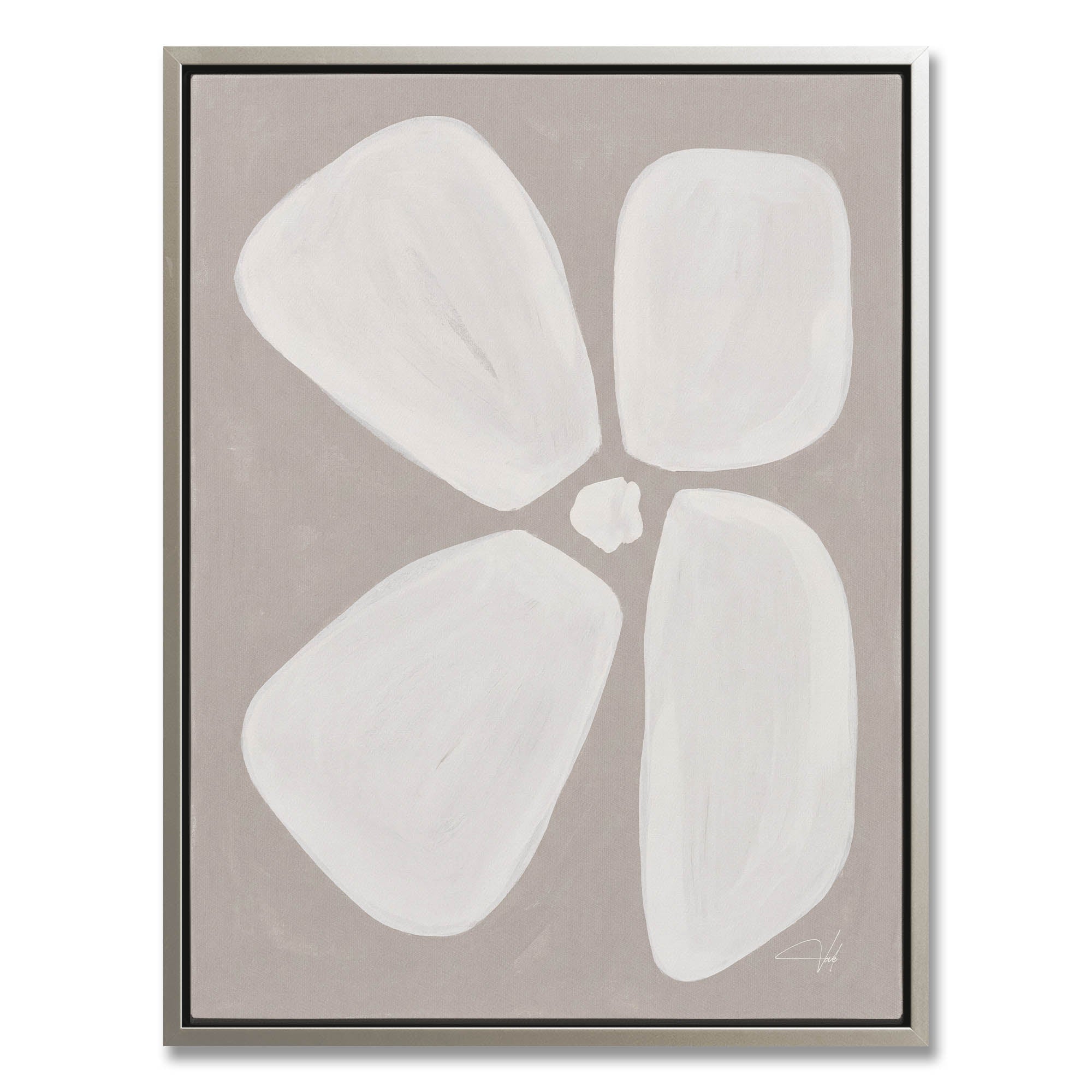 Dove Anemone