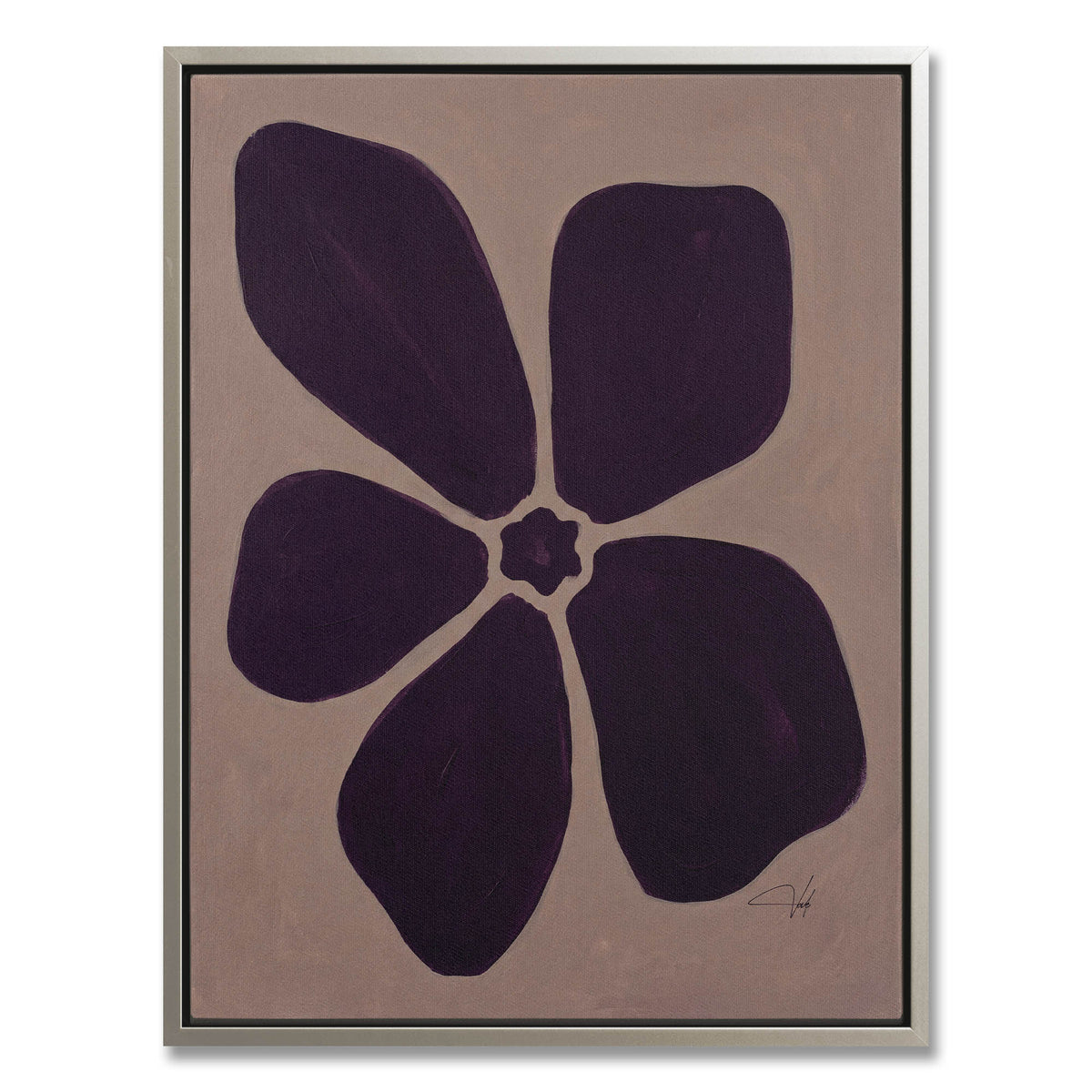 Plum Anemone