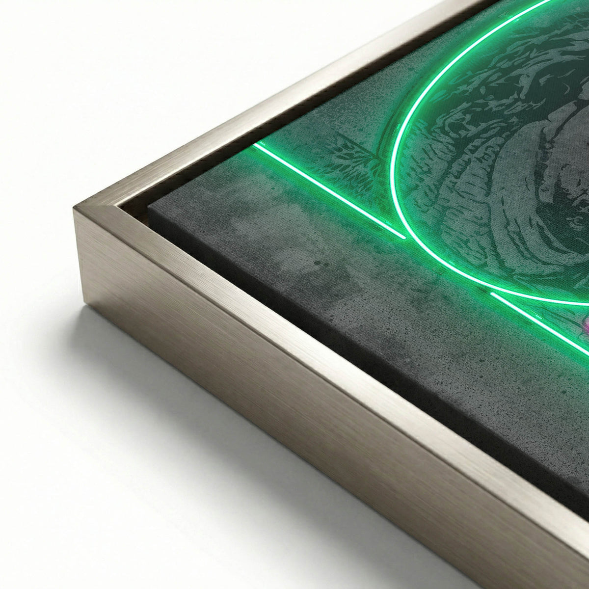 Benjamin Dollar ‘Neon’