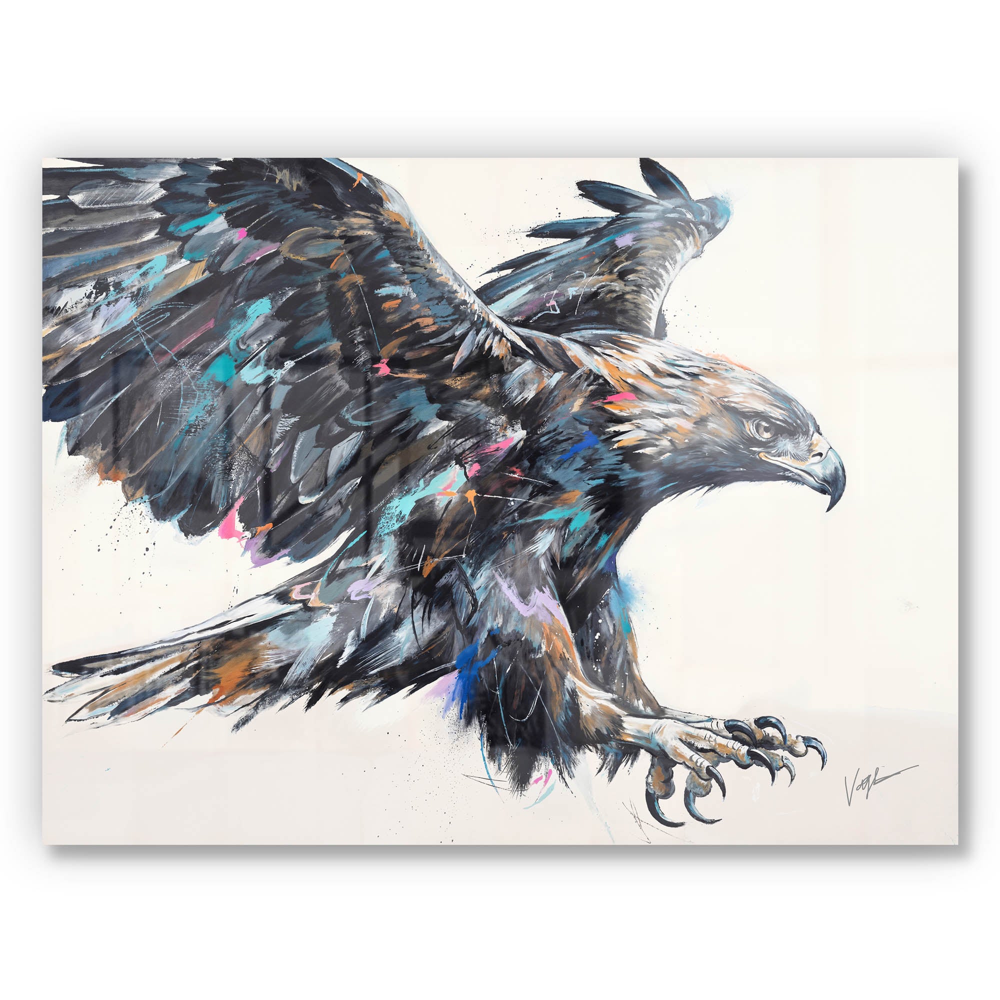 Born To Soar