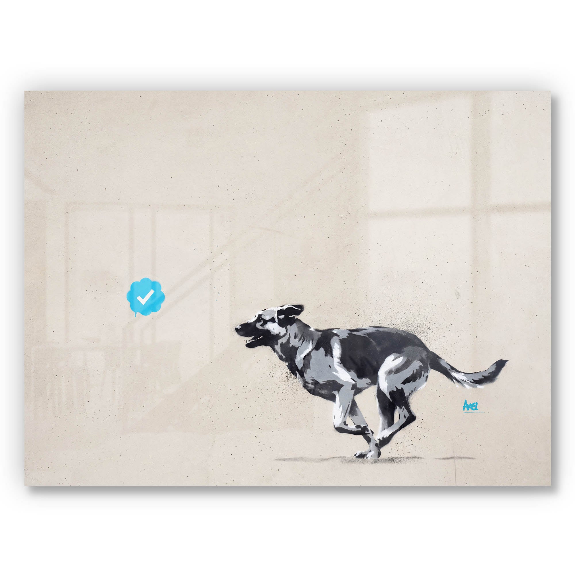 Blue Tick