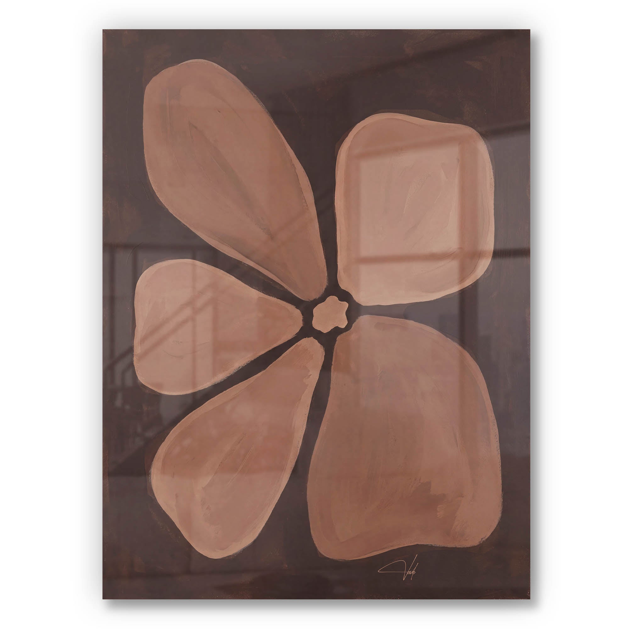 Cocoa Anemone