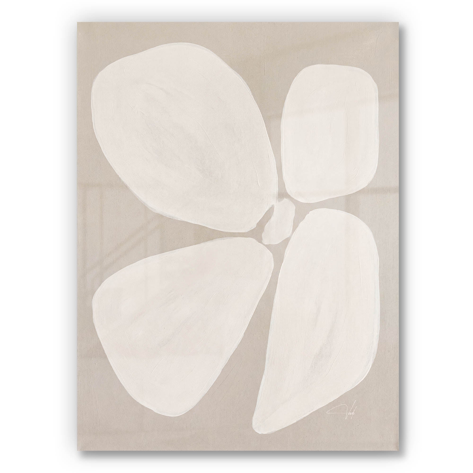 Linen Anemone