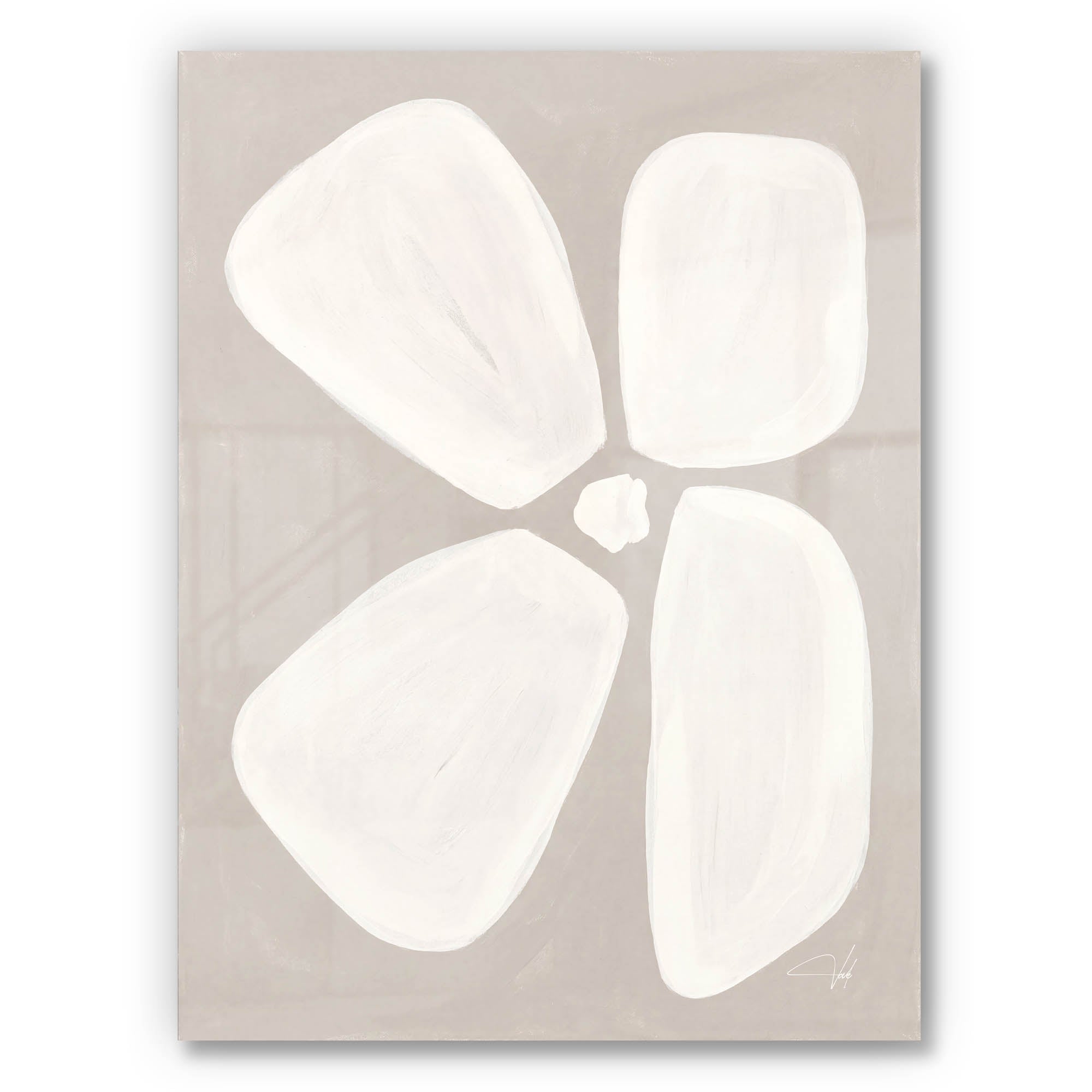 Dove Anemone
