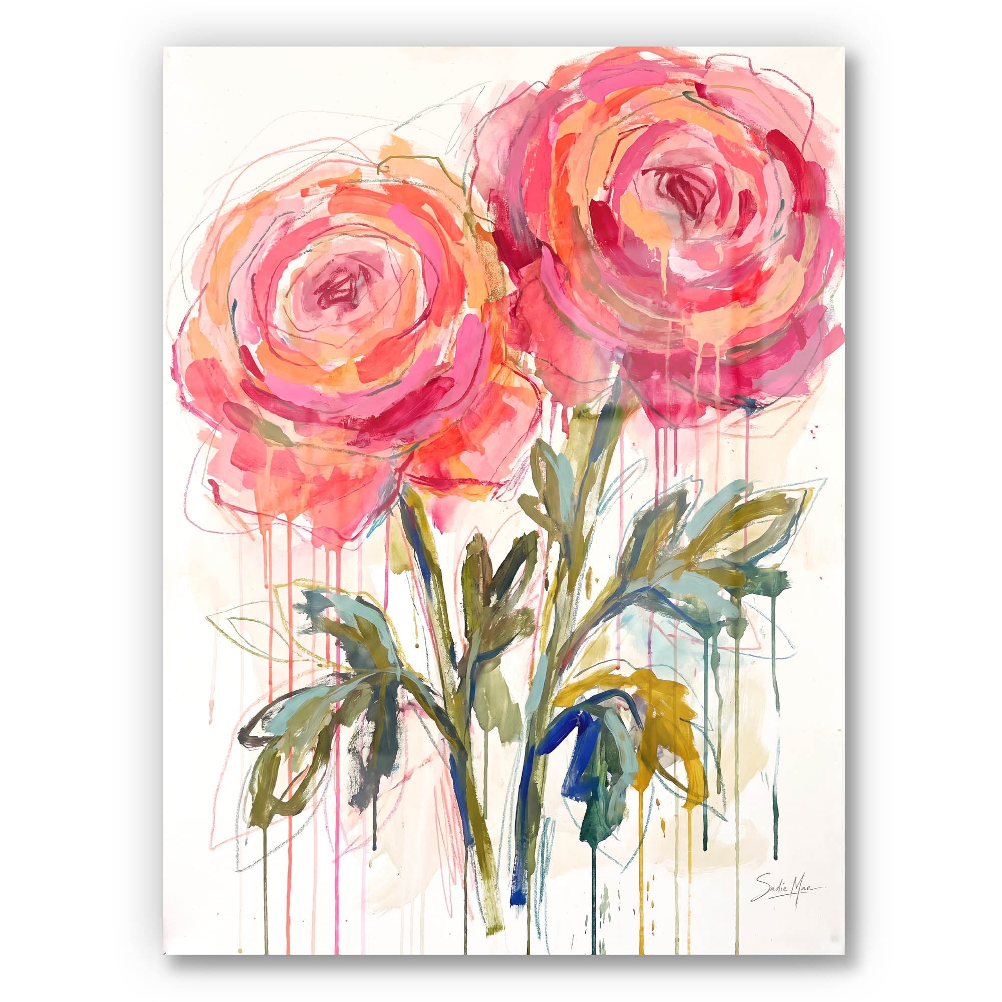 Coral Roses