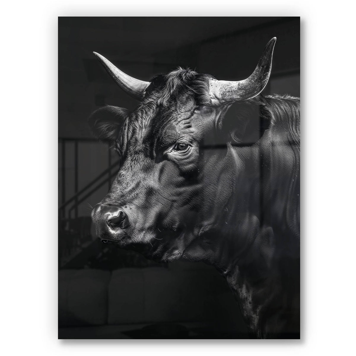 Toro