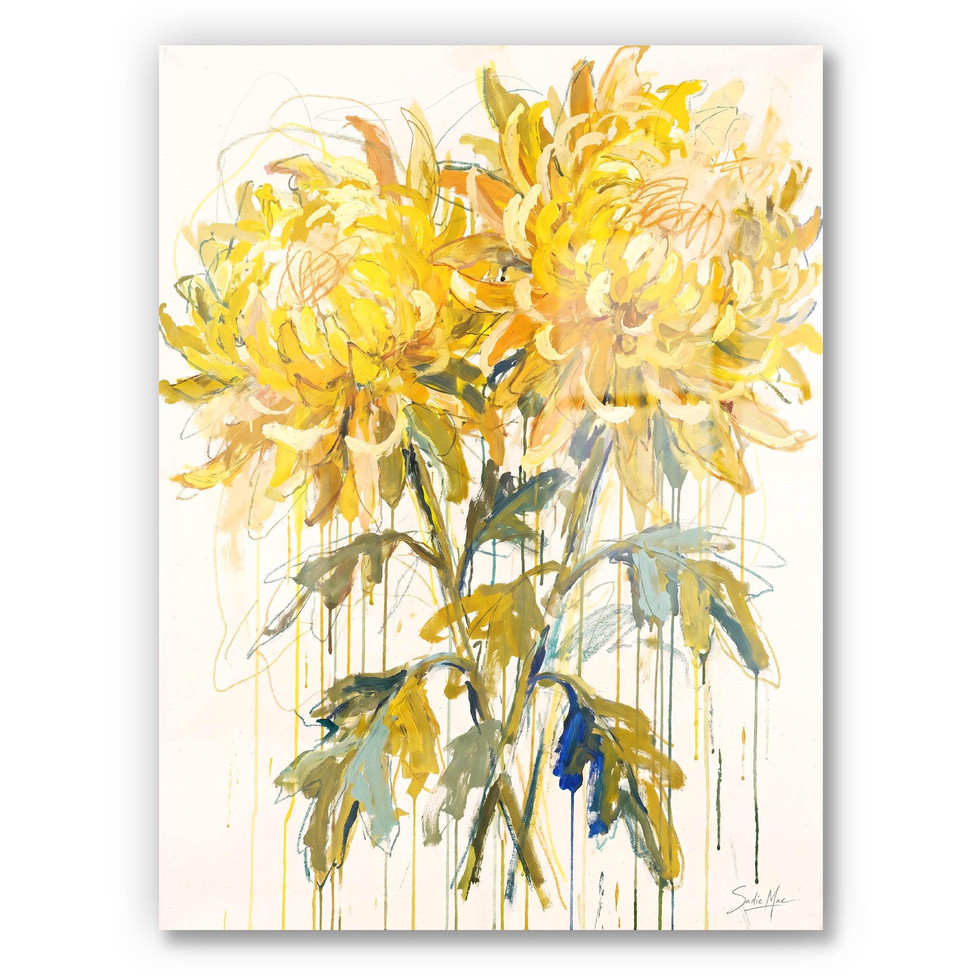 Sunlit Chrysanthemums