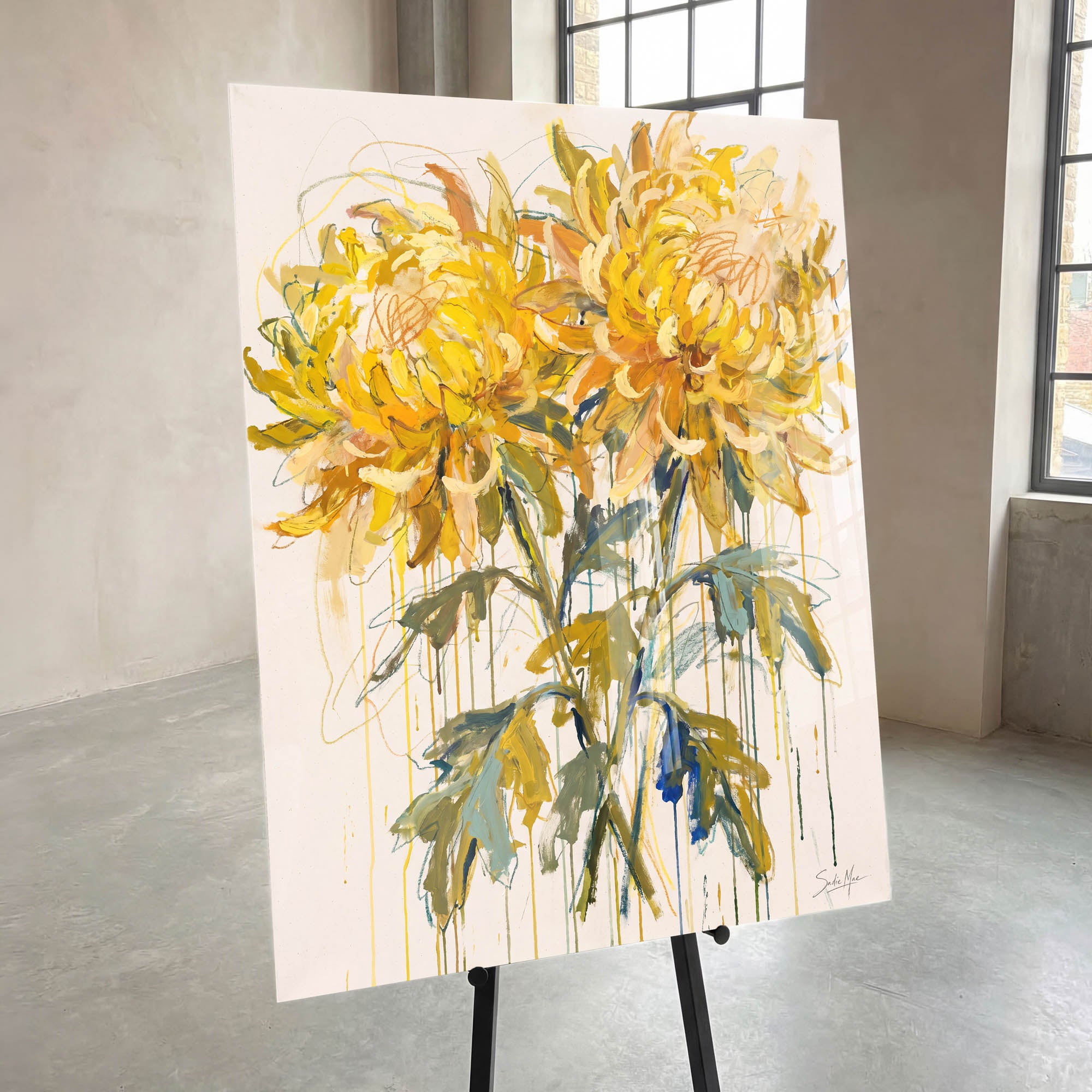 Sunlit Chrysanthemums
