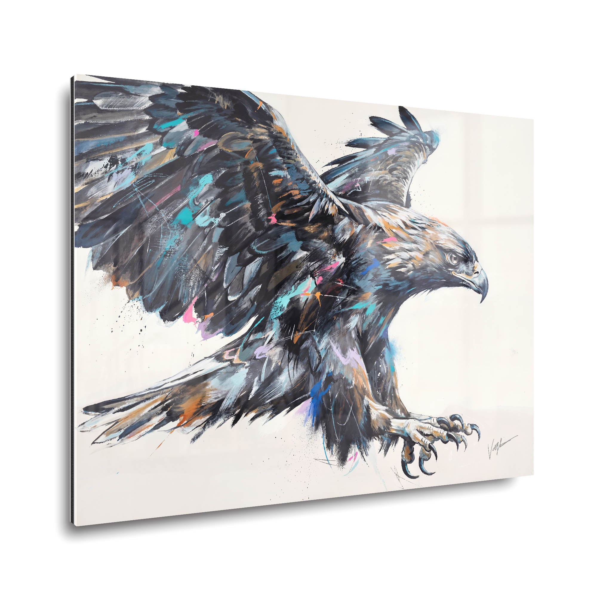 Born To Soar