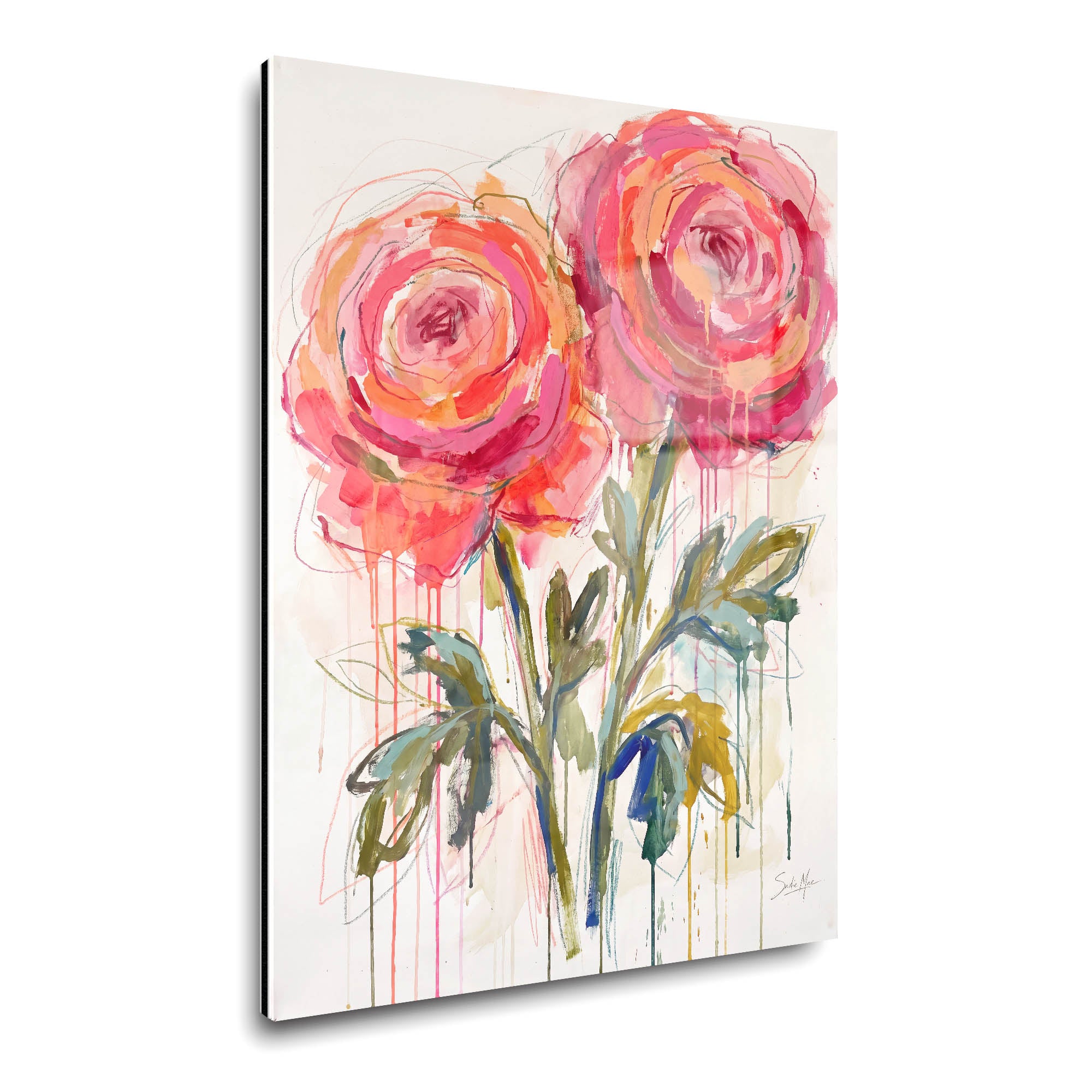 Coral Roses