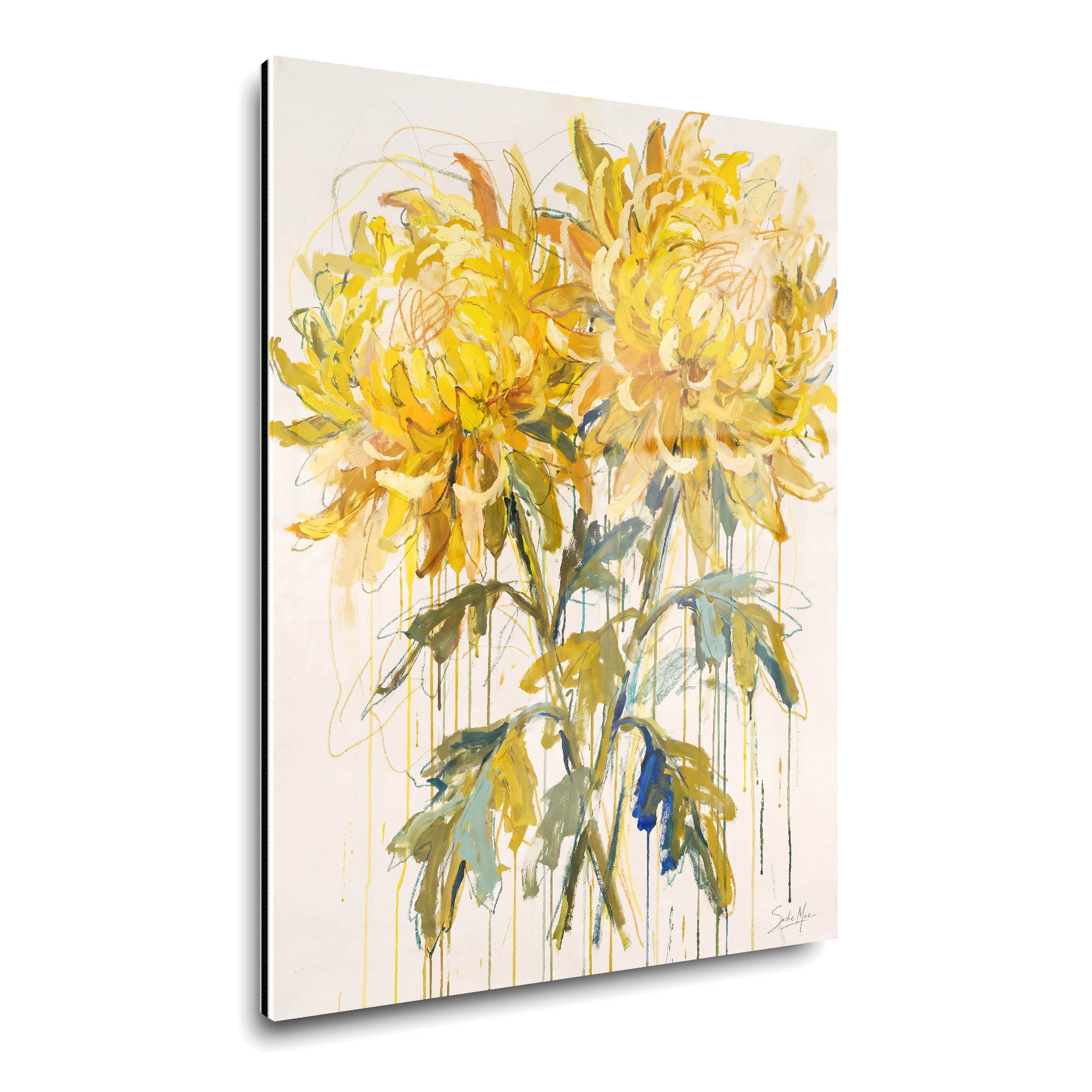 Sunlit Chrysanthemums